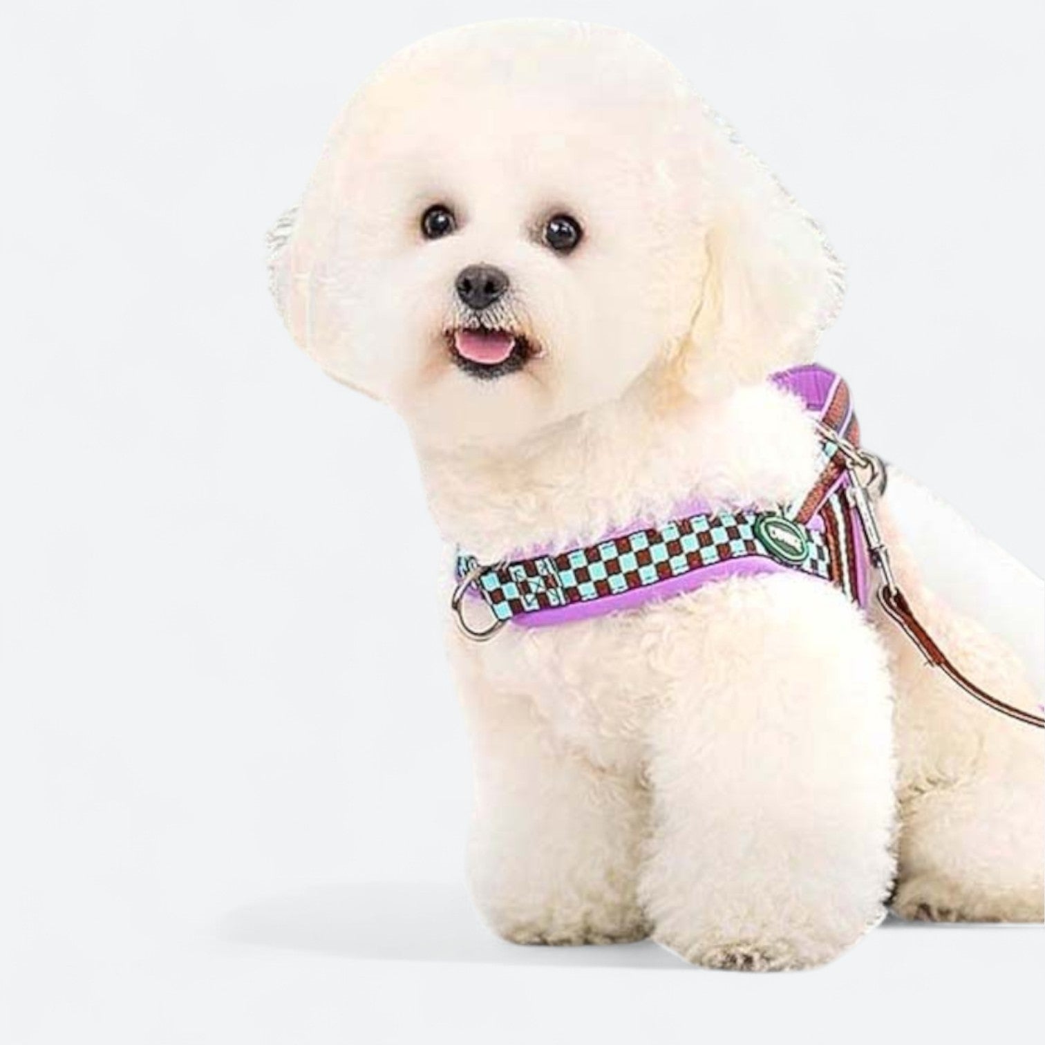 Adjustable-Checkered-Padded-Dog-Harness.jpg