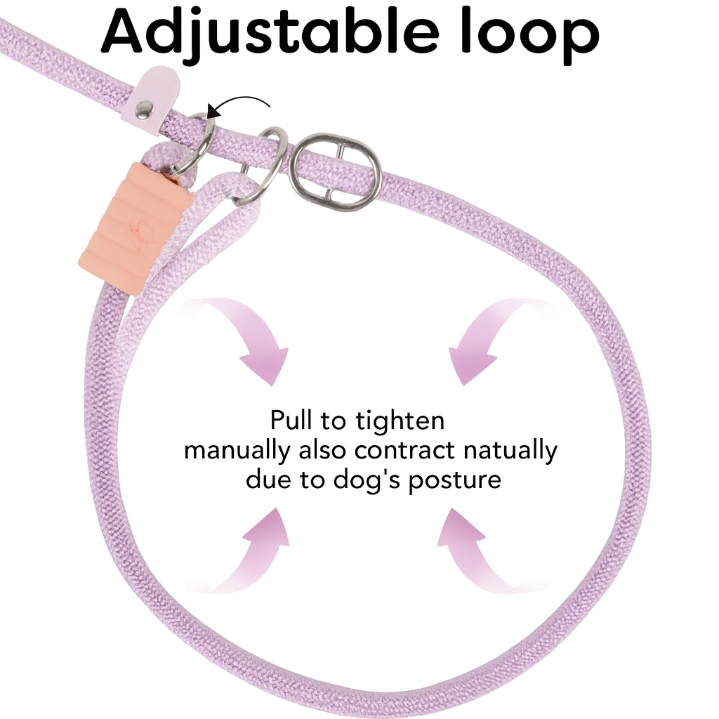 Adjustable-Cloud-Bubble-Dog-Leash.jpg