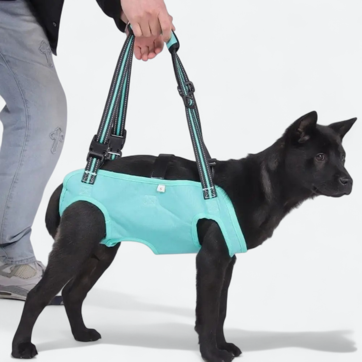 Adjustable-Dog-Lift-Harness.jpg