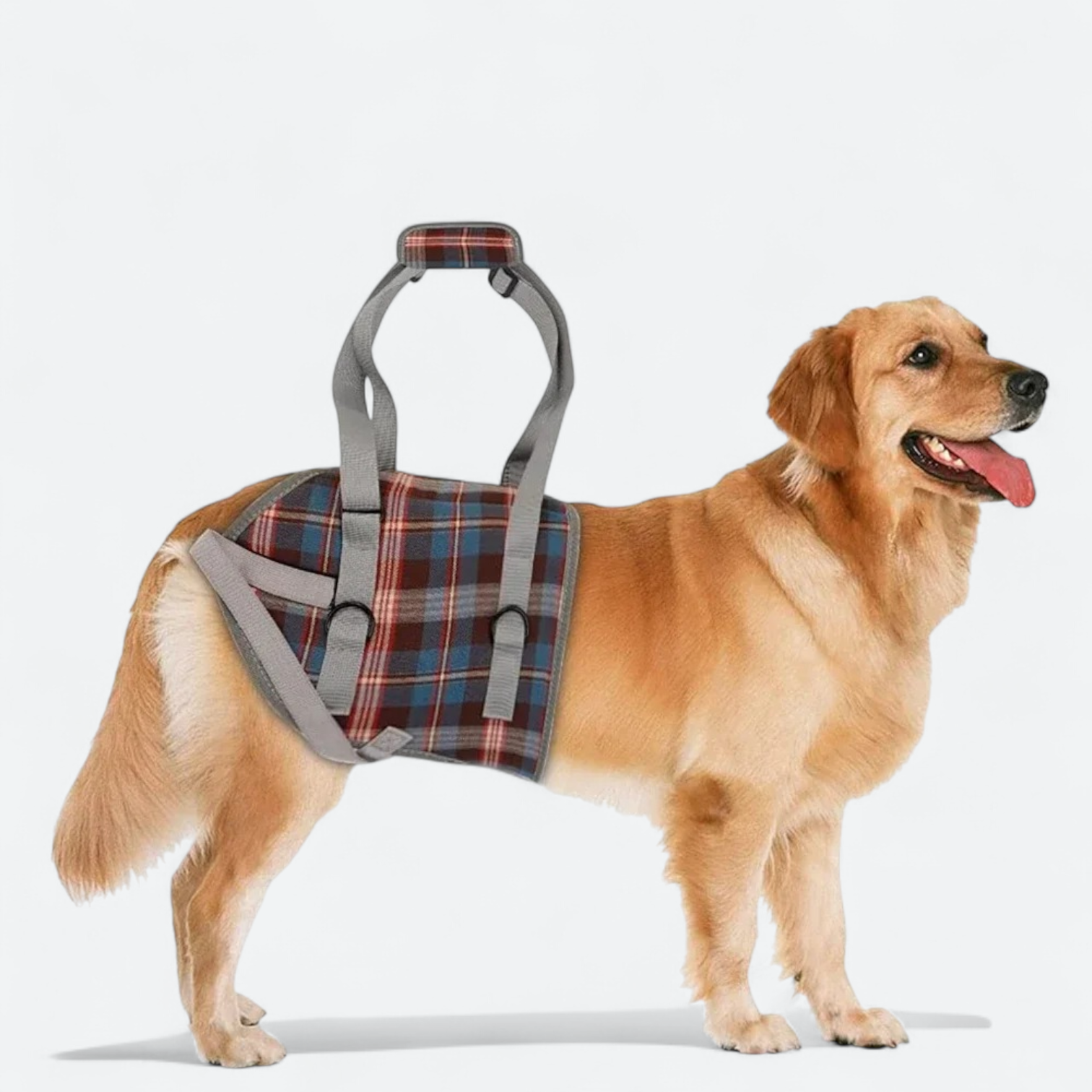 Adjustable-Dog-Lift-Harness.jpg
