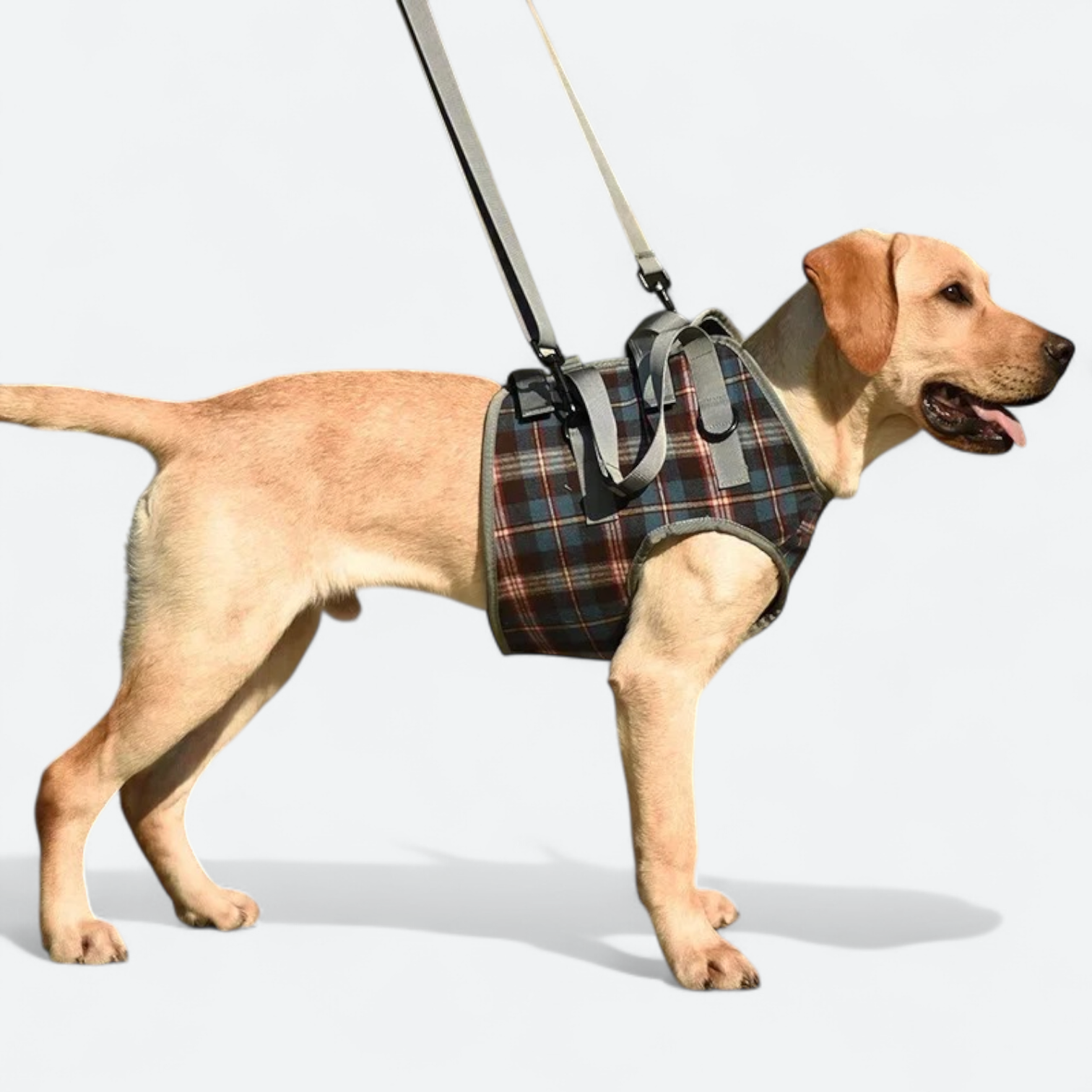 Adjustable-Dog-Lift-Harness.jpg