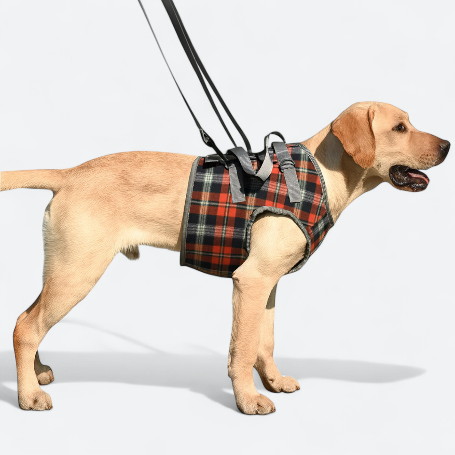 Adjustable-Dog-Lift-Harness.jpg