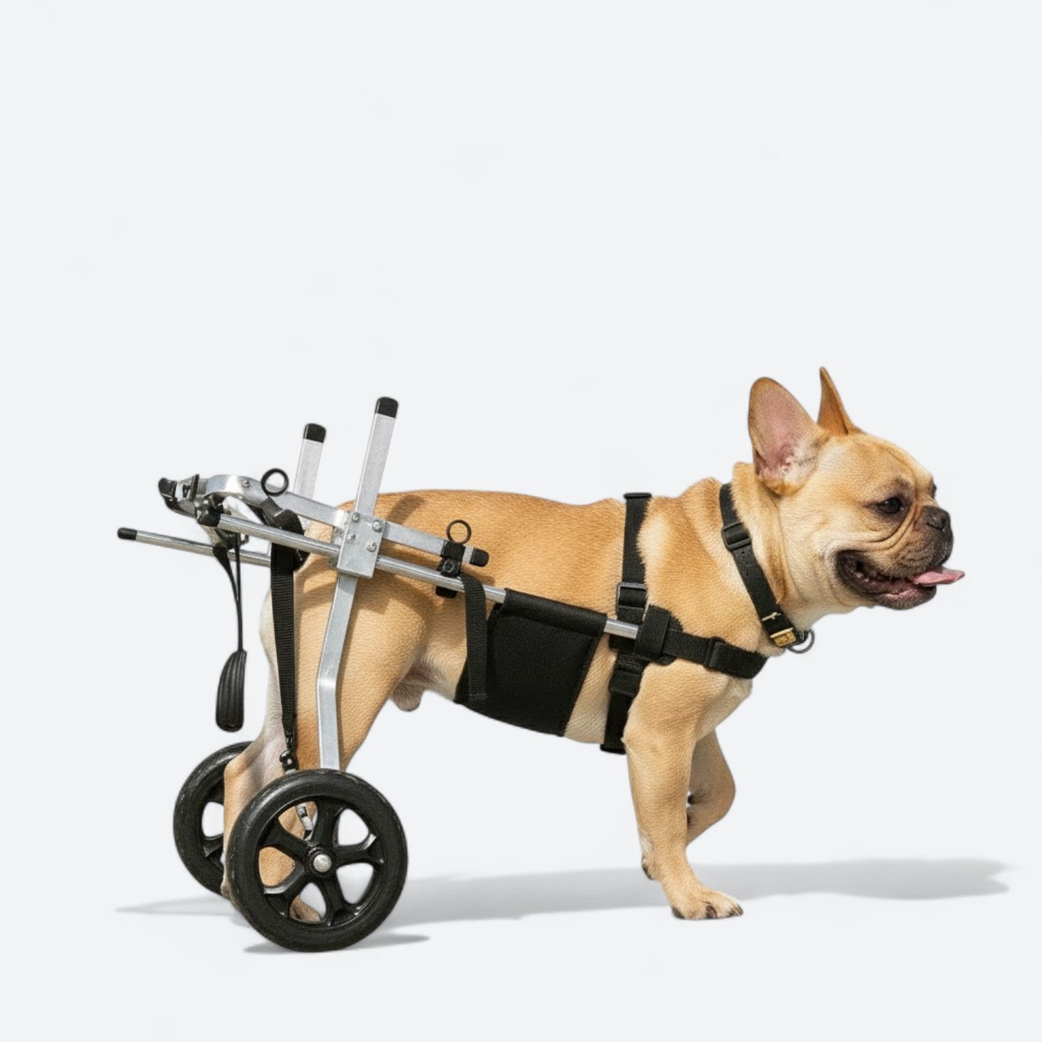 Adjustable-Dog-Rehabilitation-Wheelchair.jpg