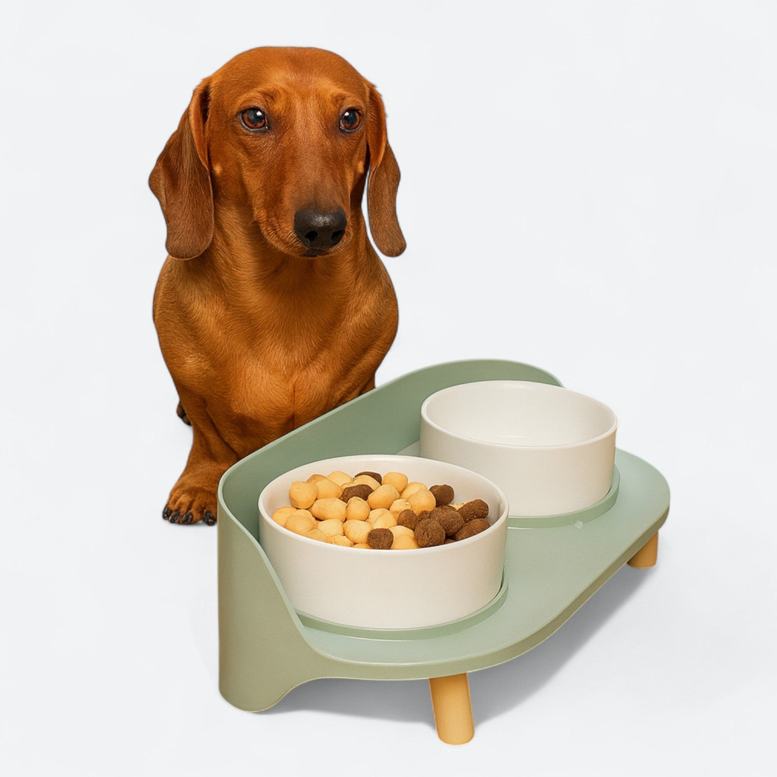 Adjustable-Elevated-Dog-Bowl-Set.jpg