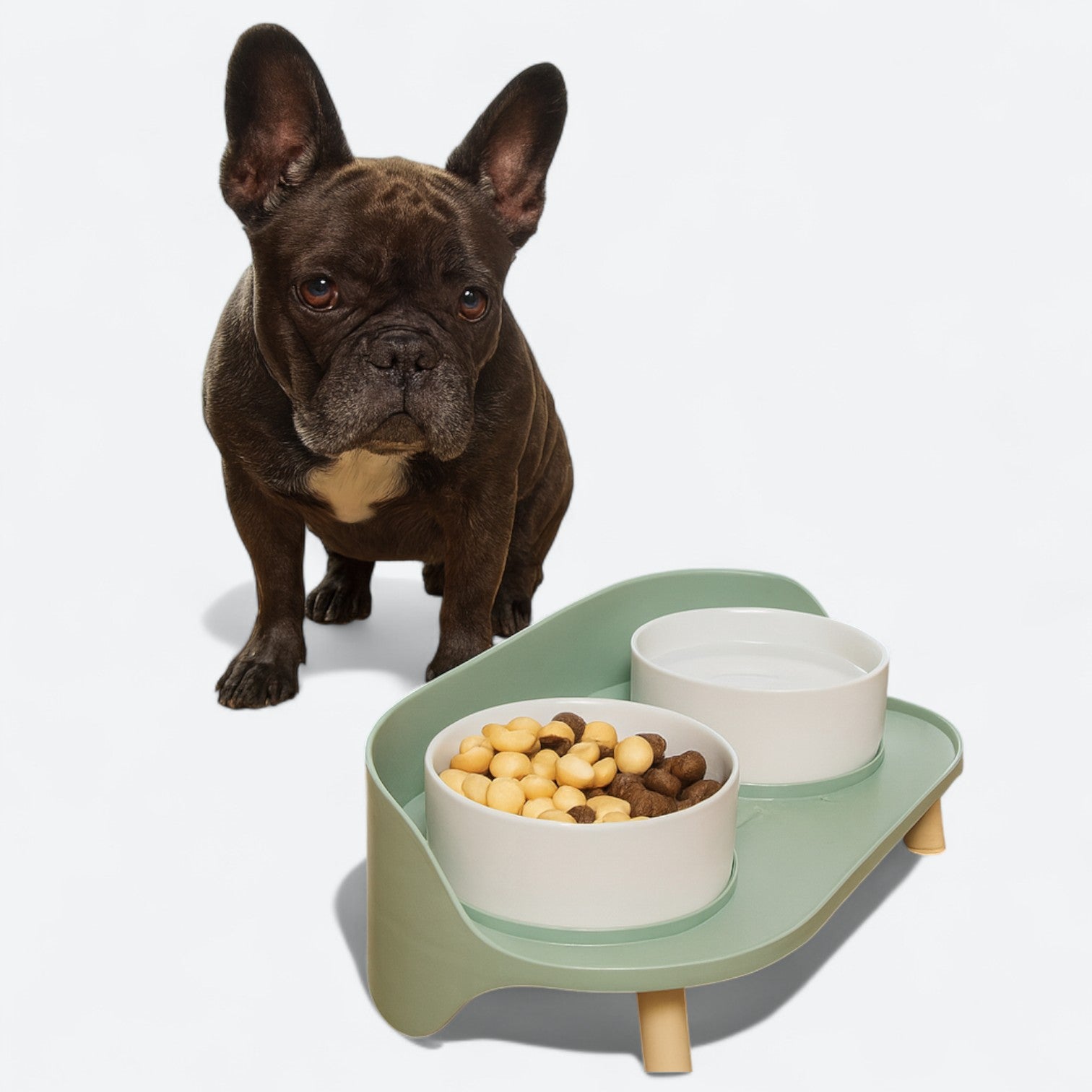 Adjustable-Elevated-Dog-Bowl-Set.jpg