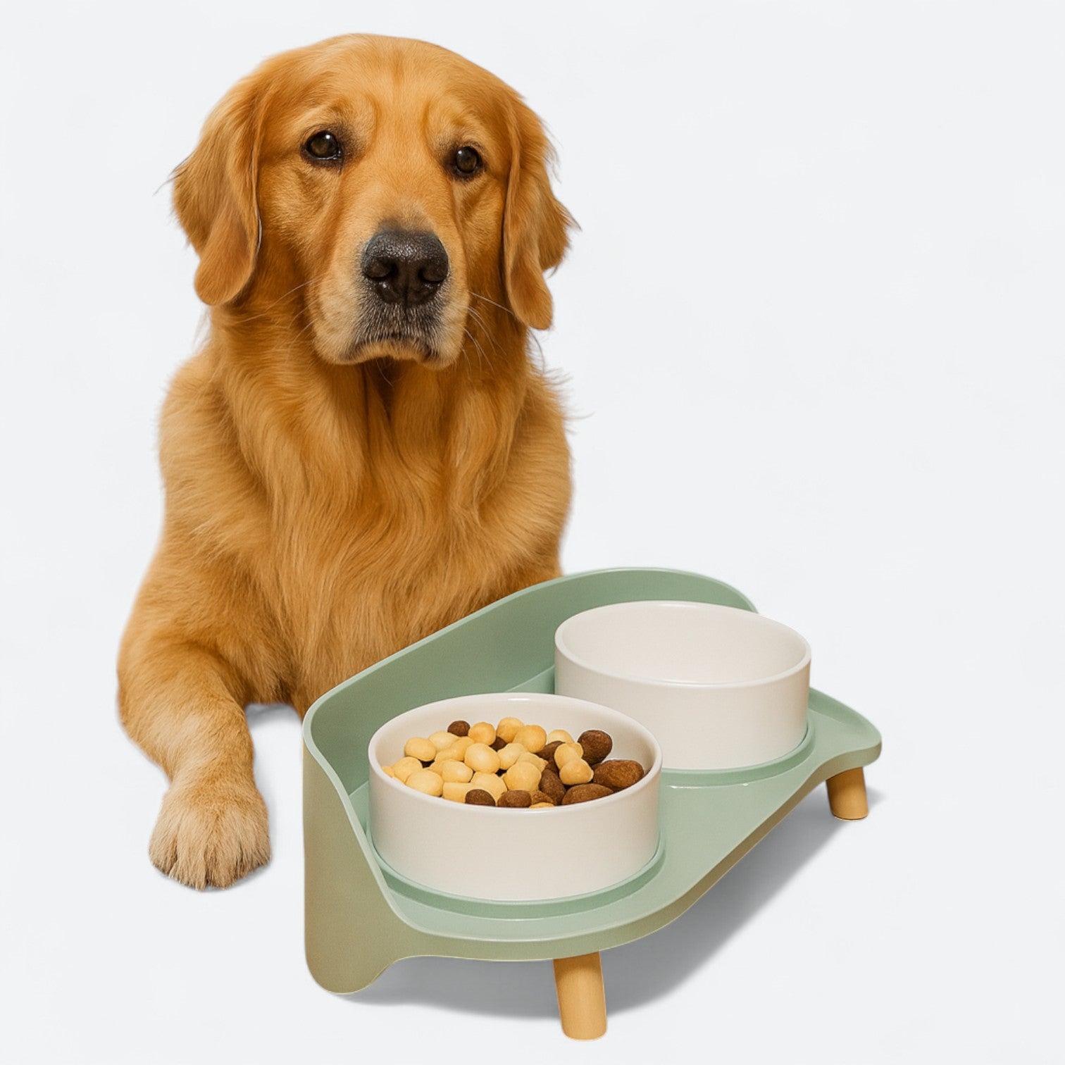 Adjustable-Elevated-Dog-Bowl-Set.jpg