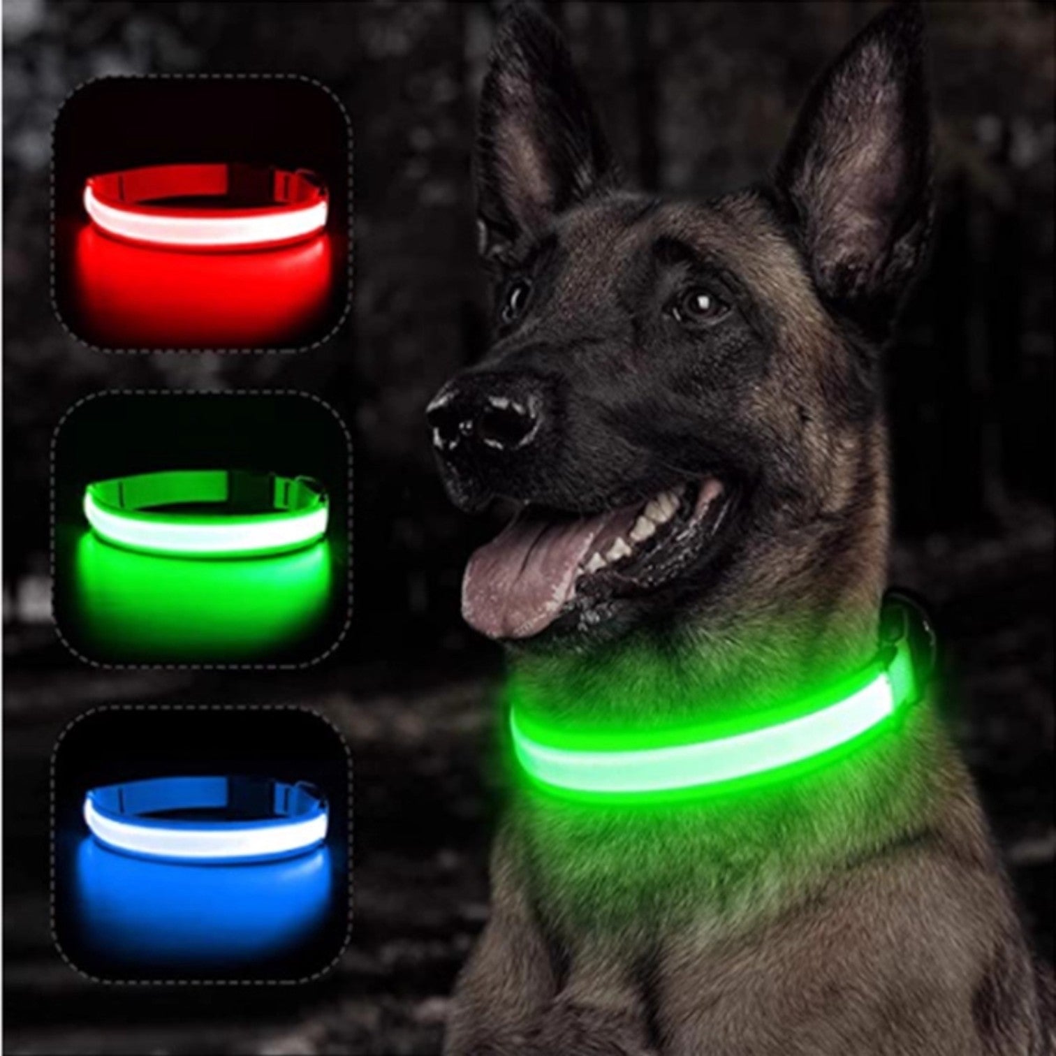 Adjustable-LED-Glowing-Dog-Collar.jpg
