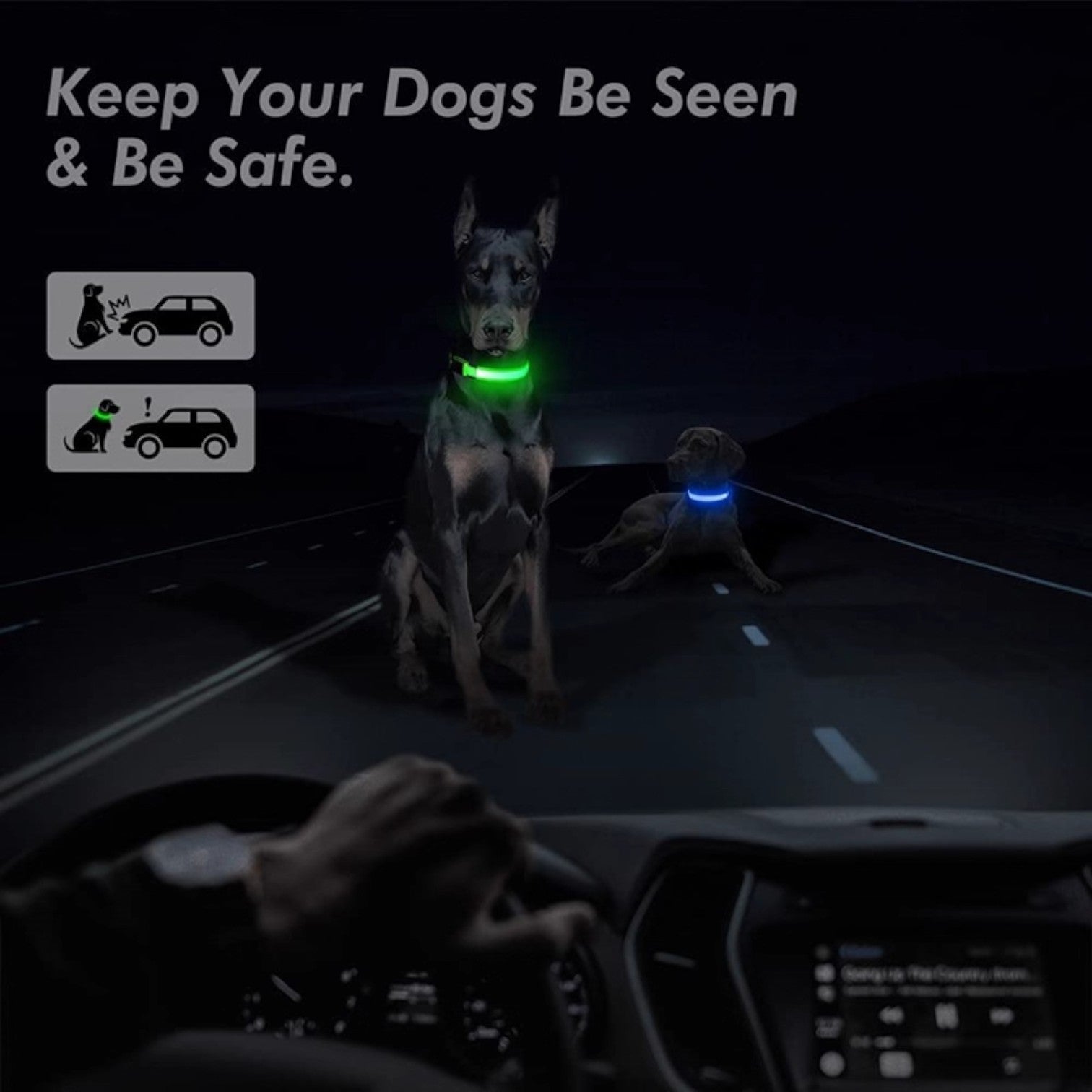 Adjustable-LED-Glowing-Dog-Collar.jpg