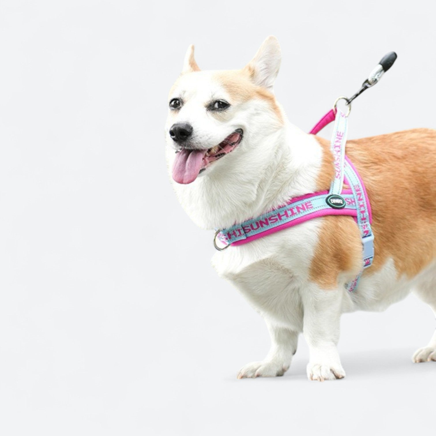 Adjustable-Mesh-Dog-Harness.jpg
