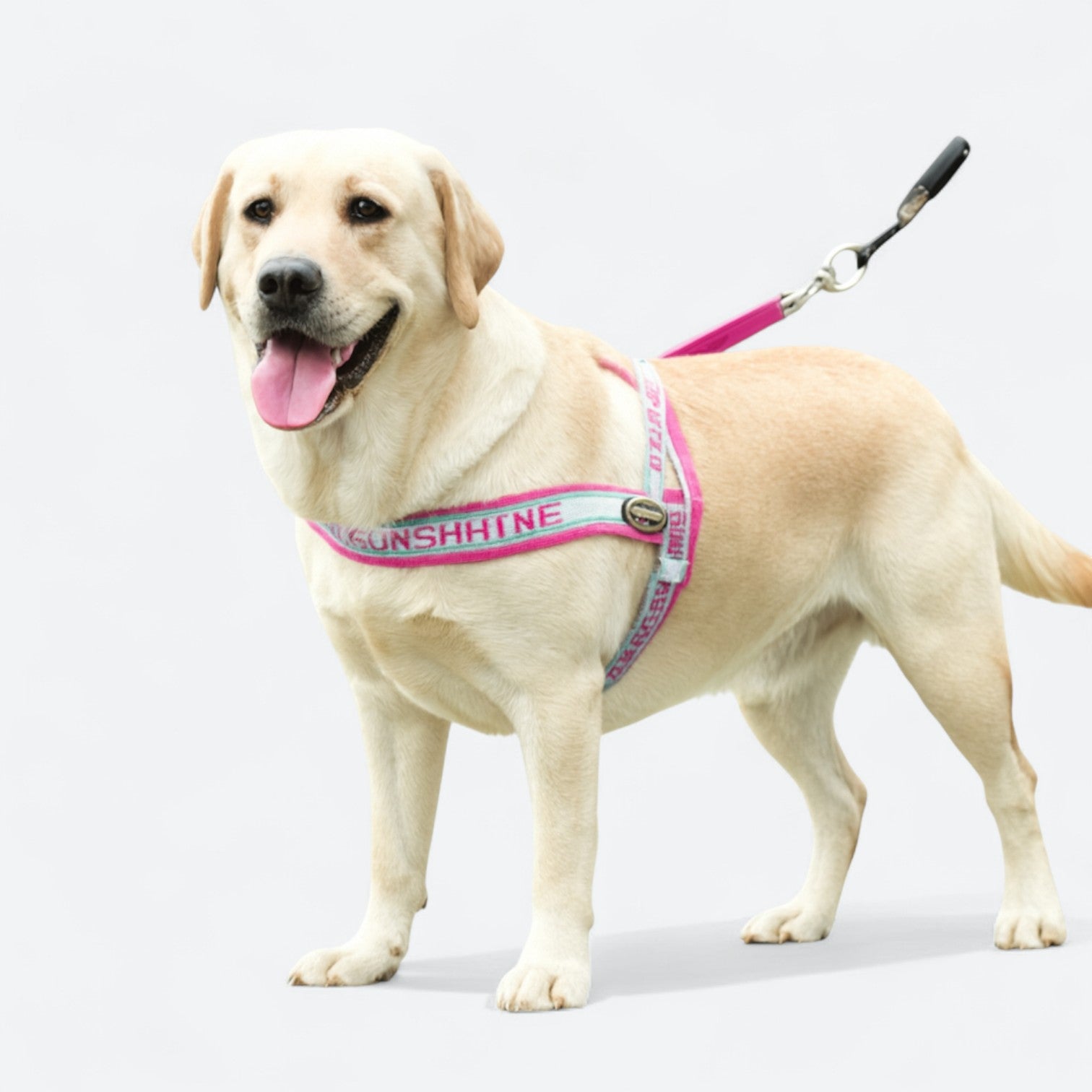 Adjustable-Mesh-Dog-Harness.jpg