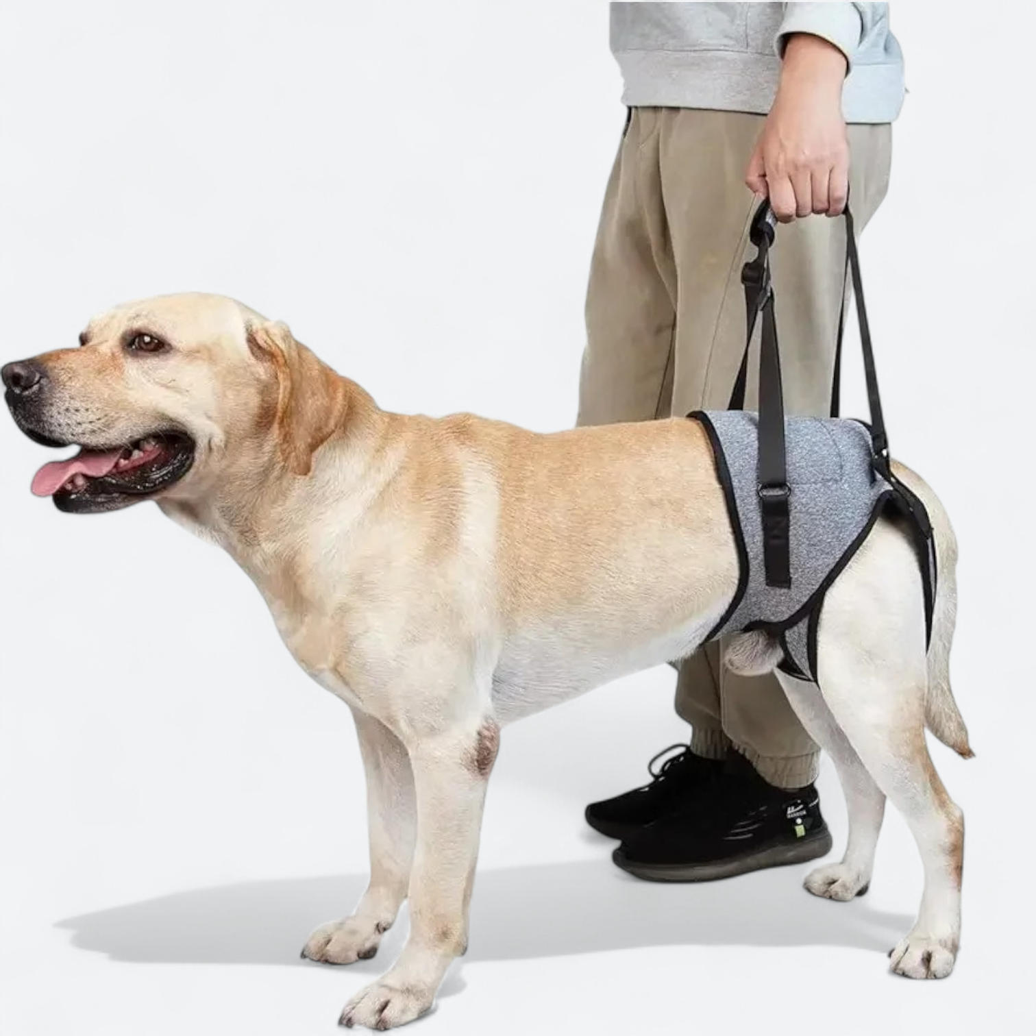 Adjustable-Rear-Leg-Dog-Lift-Harness.jpg