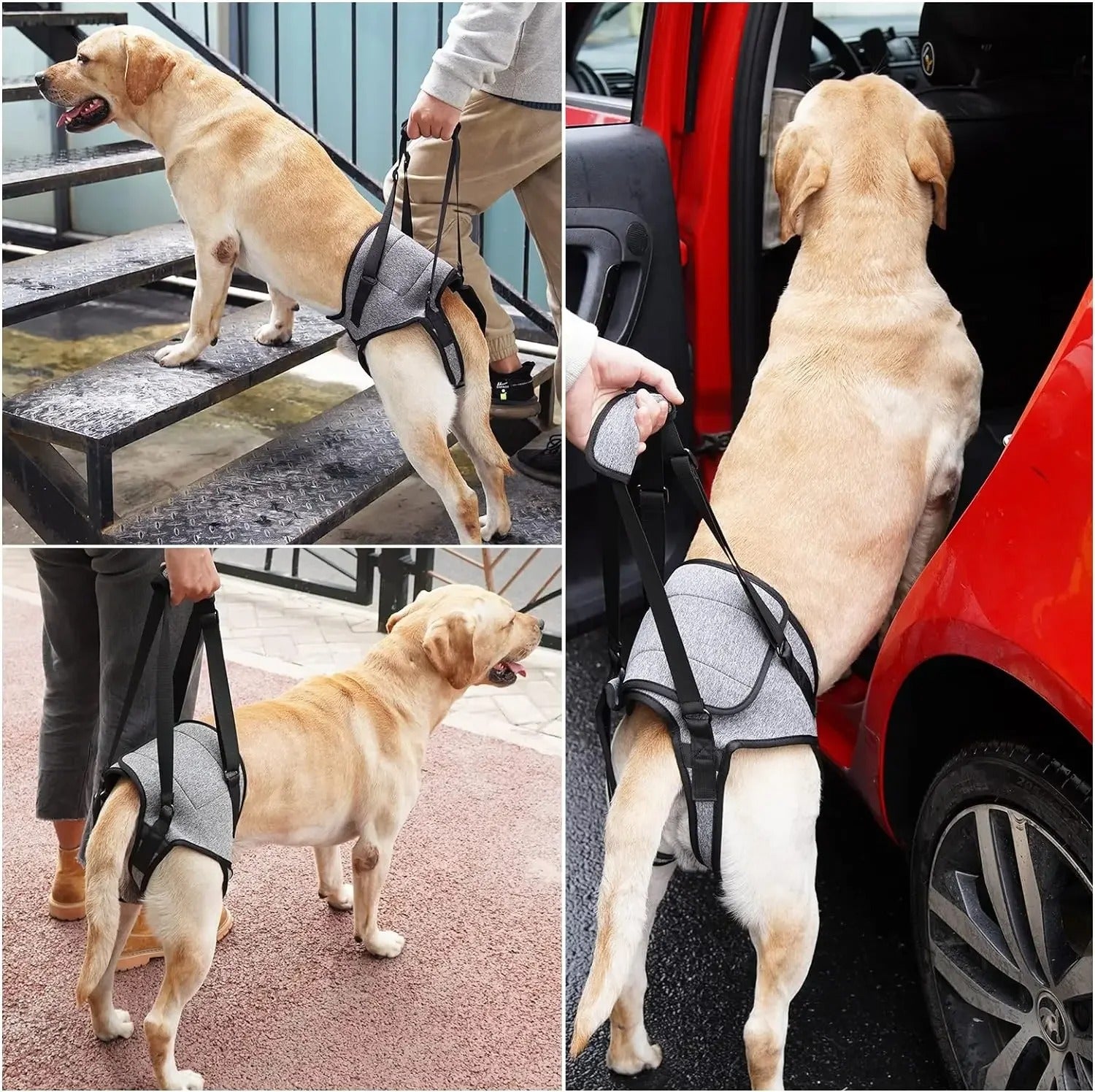 Adjustable-Rear-Leg-Dog-Lift-Harness.jpg