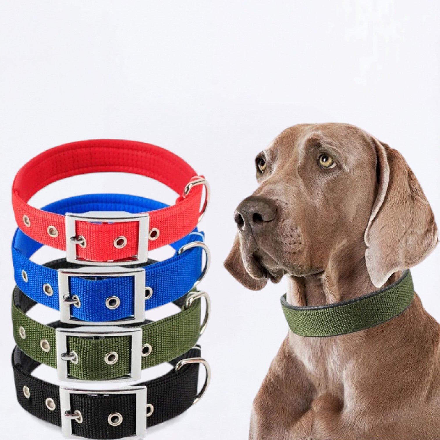 Adjustable-Solid-Nylon-Dog-Collar.jpg