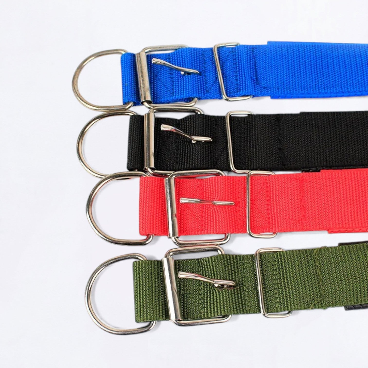 Adjustable-Solid-Nylon-Dog-Collar.jpg
