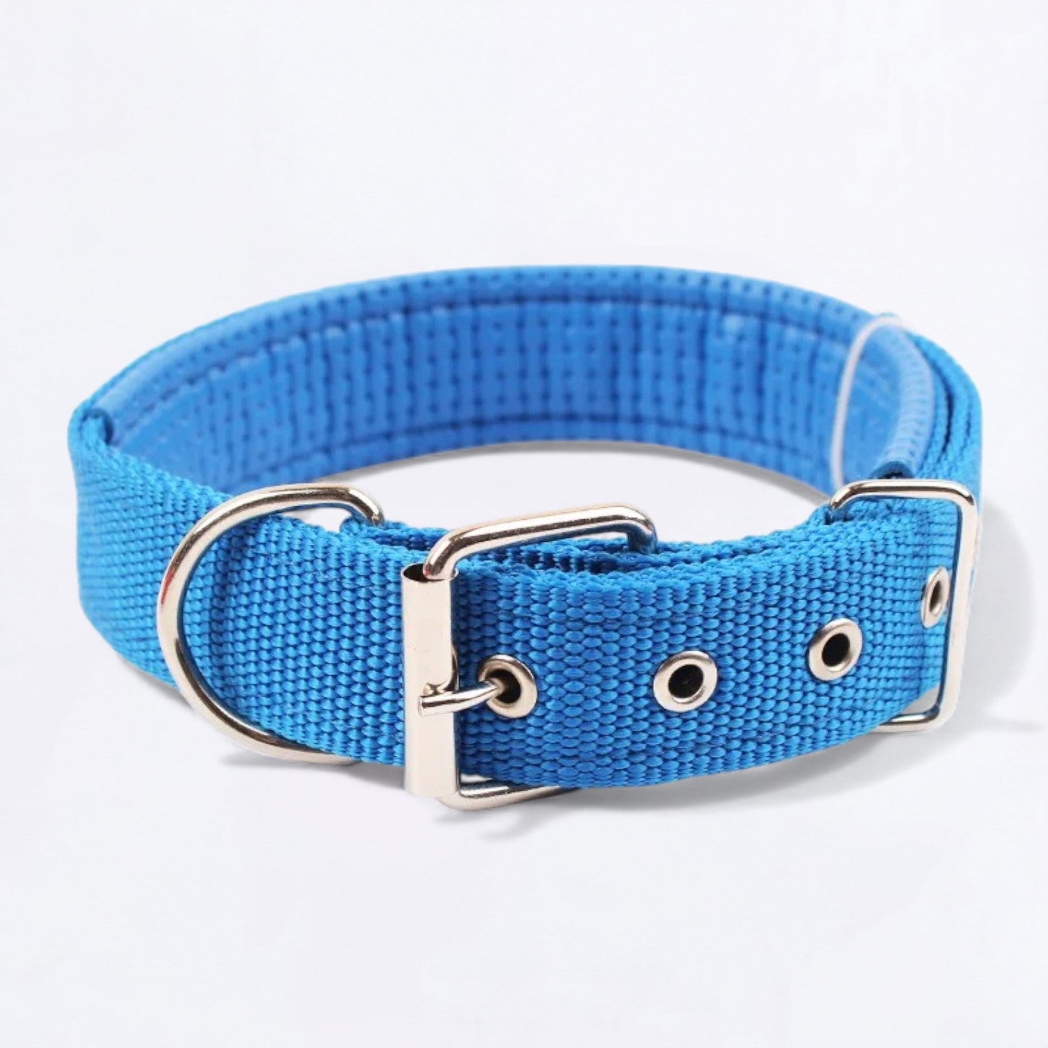 Adjustable-Solid-Nylon-Dog-Collar.jpg