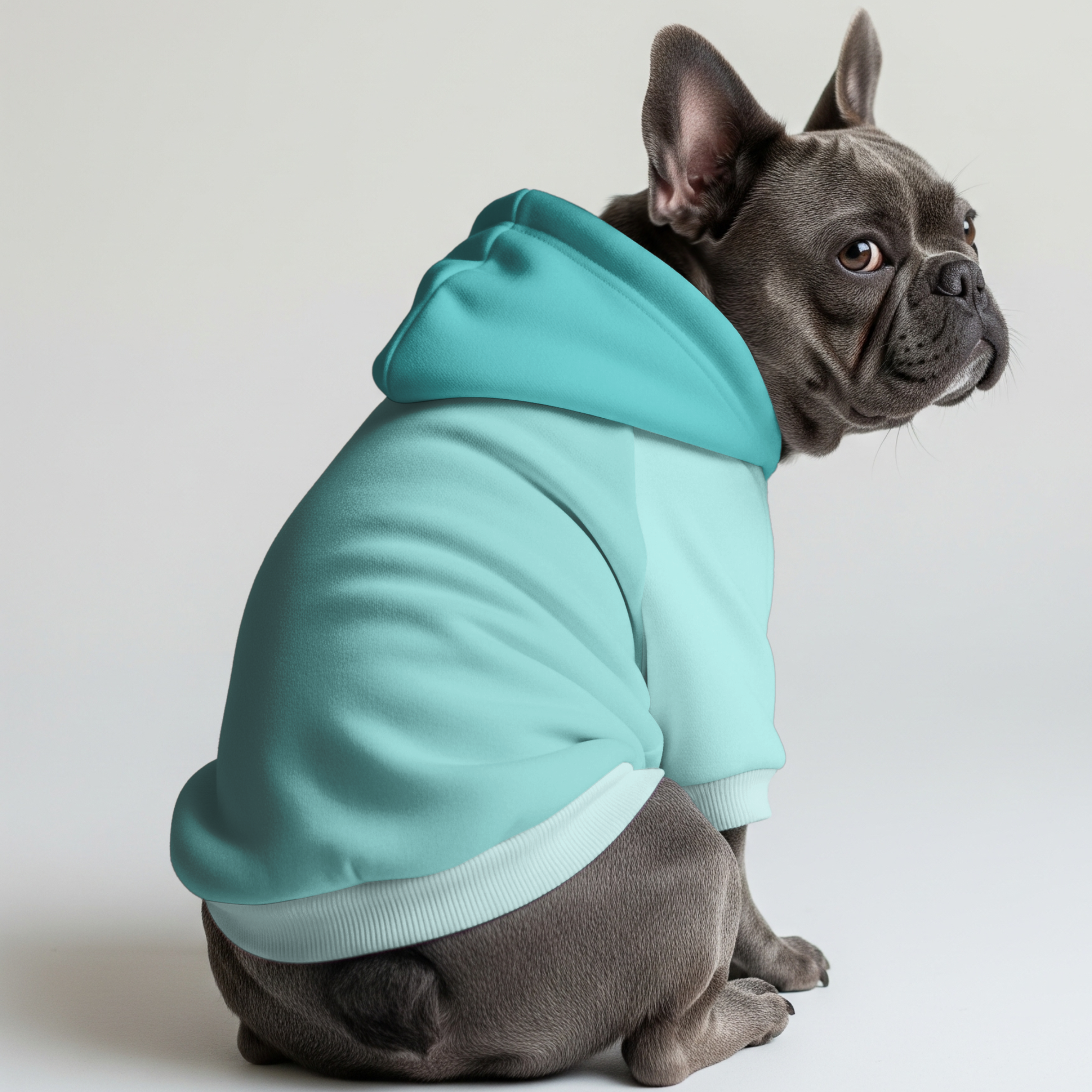 'Alexis' Dog Hoodie