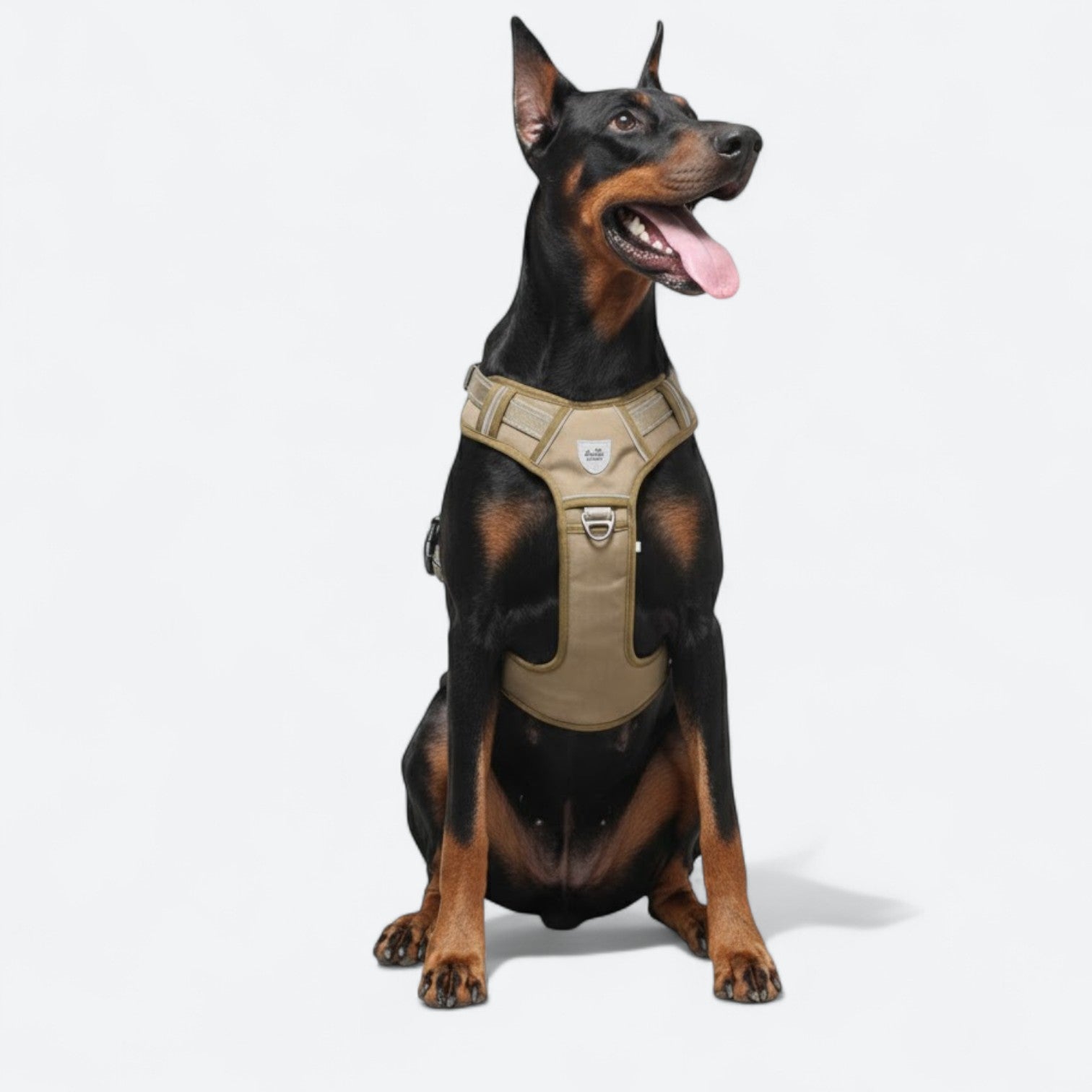 Anti-Explosion-Tactical-Dog-Harness.jpg