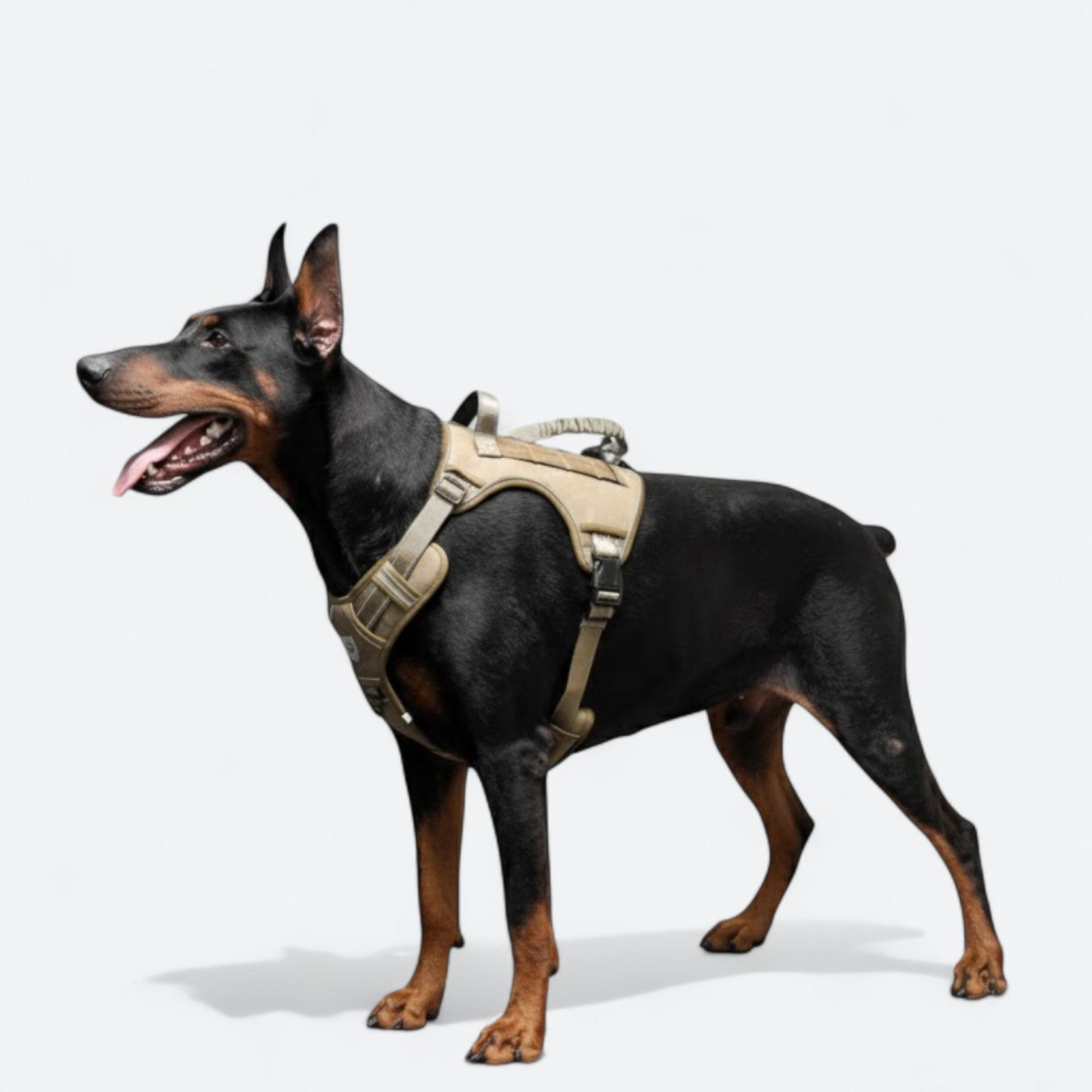 Anti-Explosion-Tactical-Dog-Harness.jpg