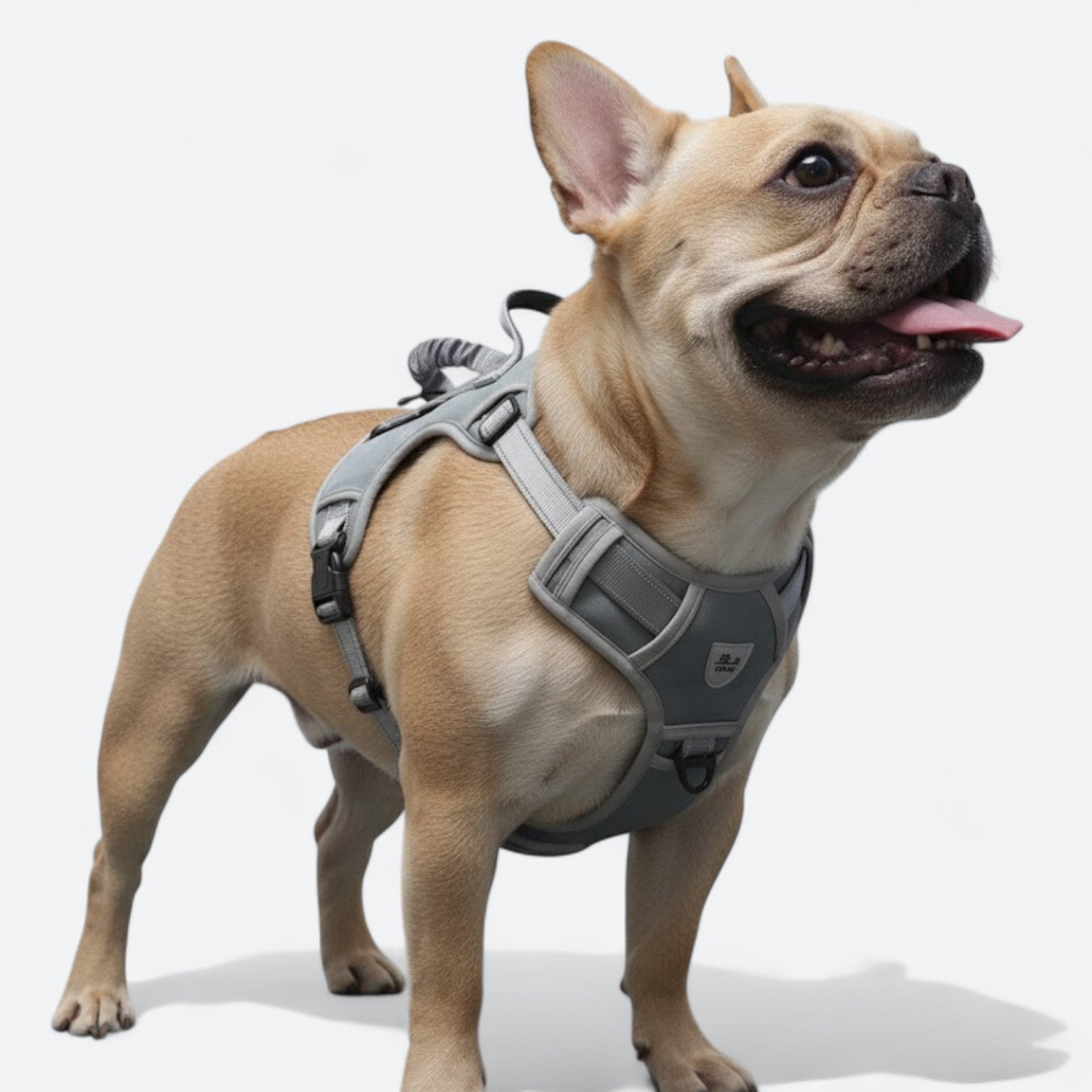 Anti-Explosion-Tactical-Dog-Harness.jpg