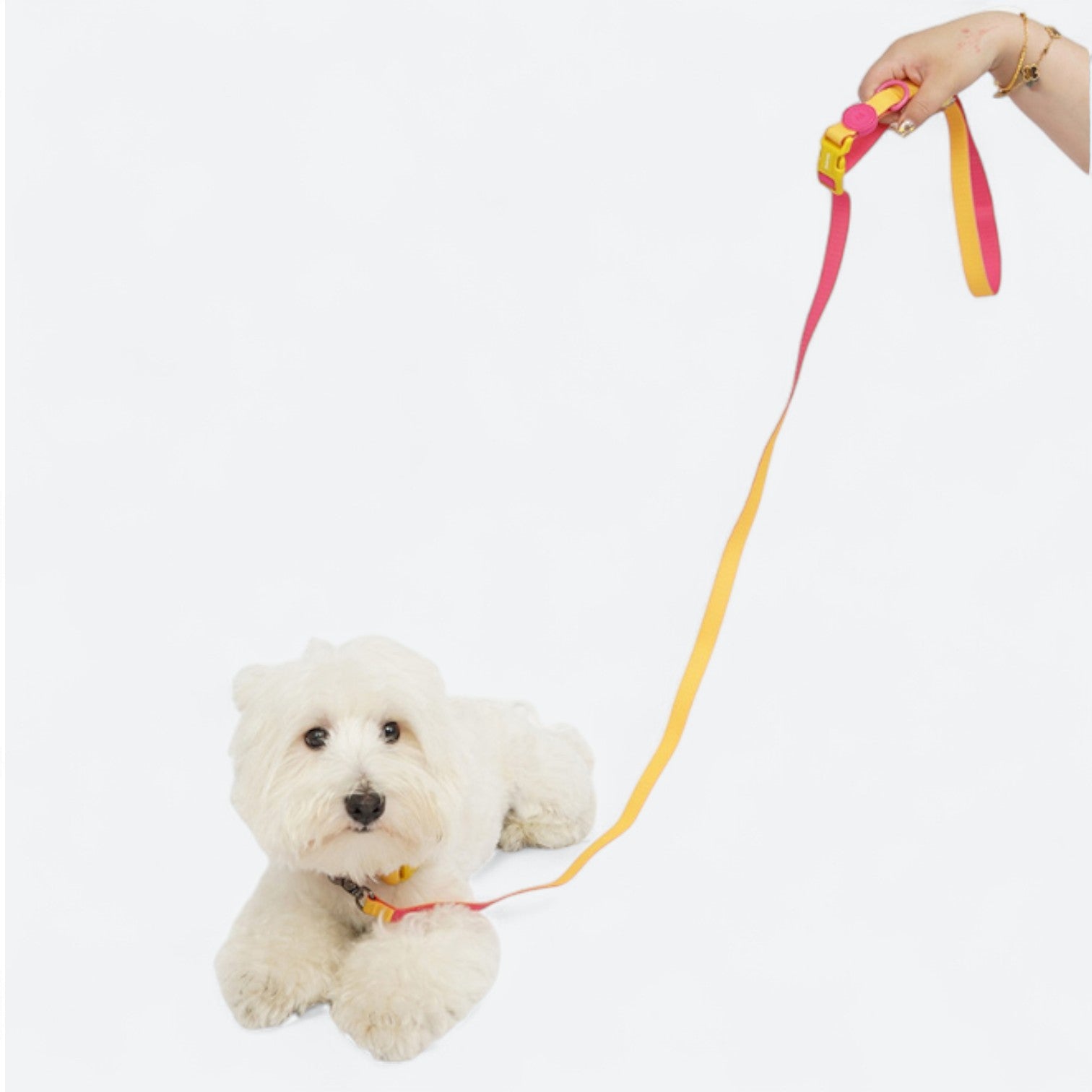Anti-Fouling Dog Leash for Comfort