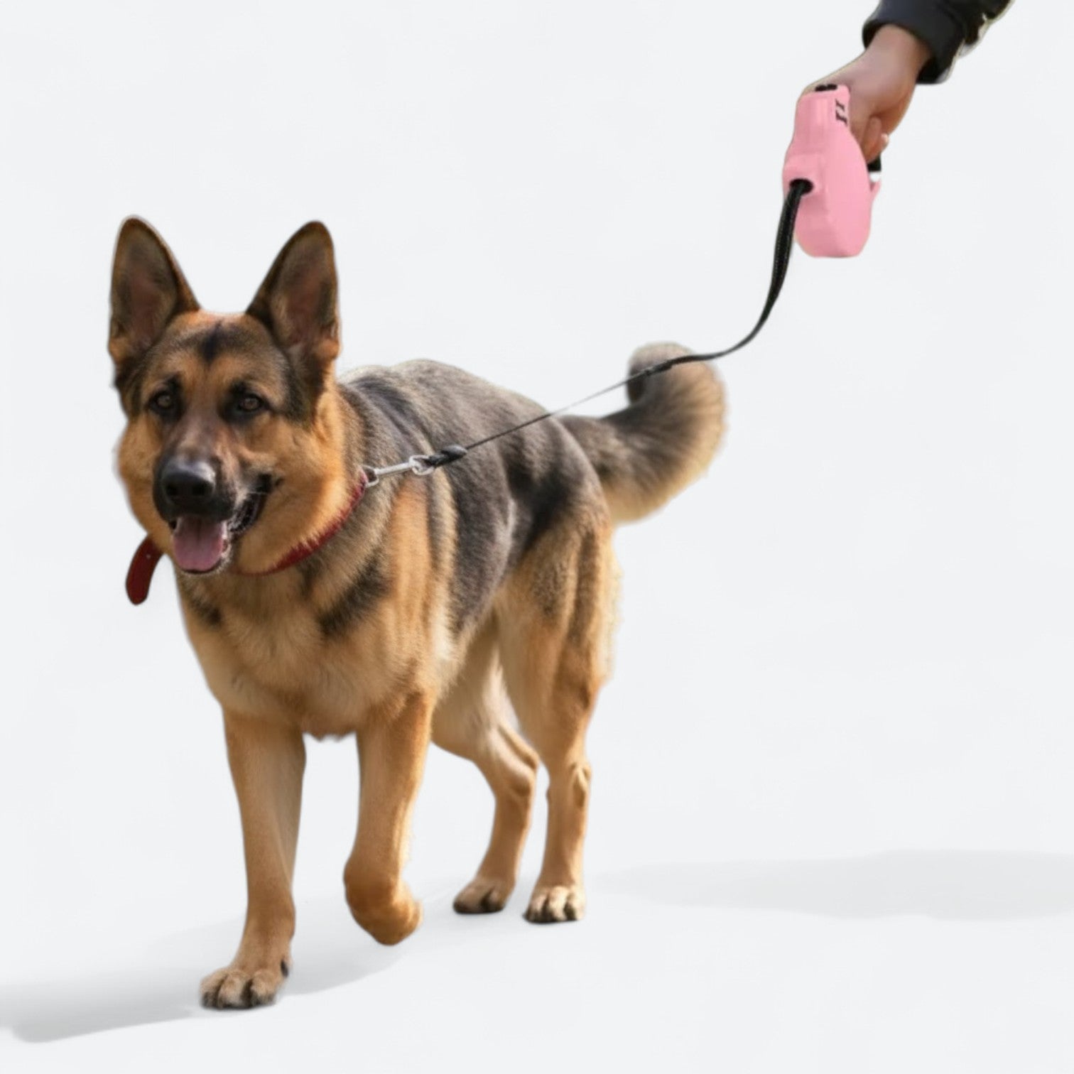 Automatic-Extendable-Dog-Leash.jpg