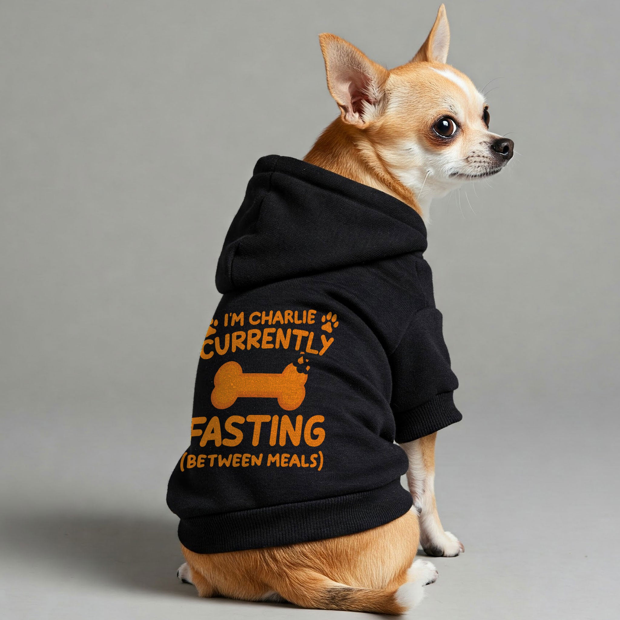 Im Charlie - currently fasting (between meals) - personalized hoodie with your dog name – dog hoodie – dog clothes