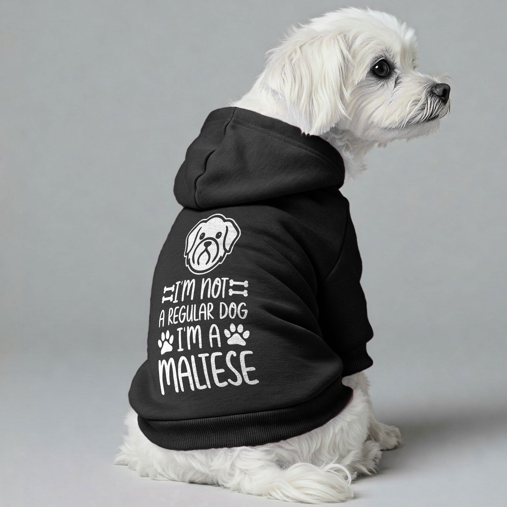 I’m Not a Regular Dog, I’m a Maltese - Maltese Dog Hoodie