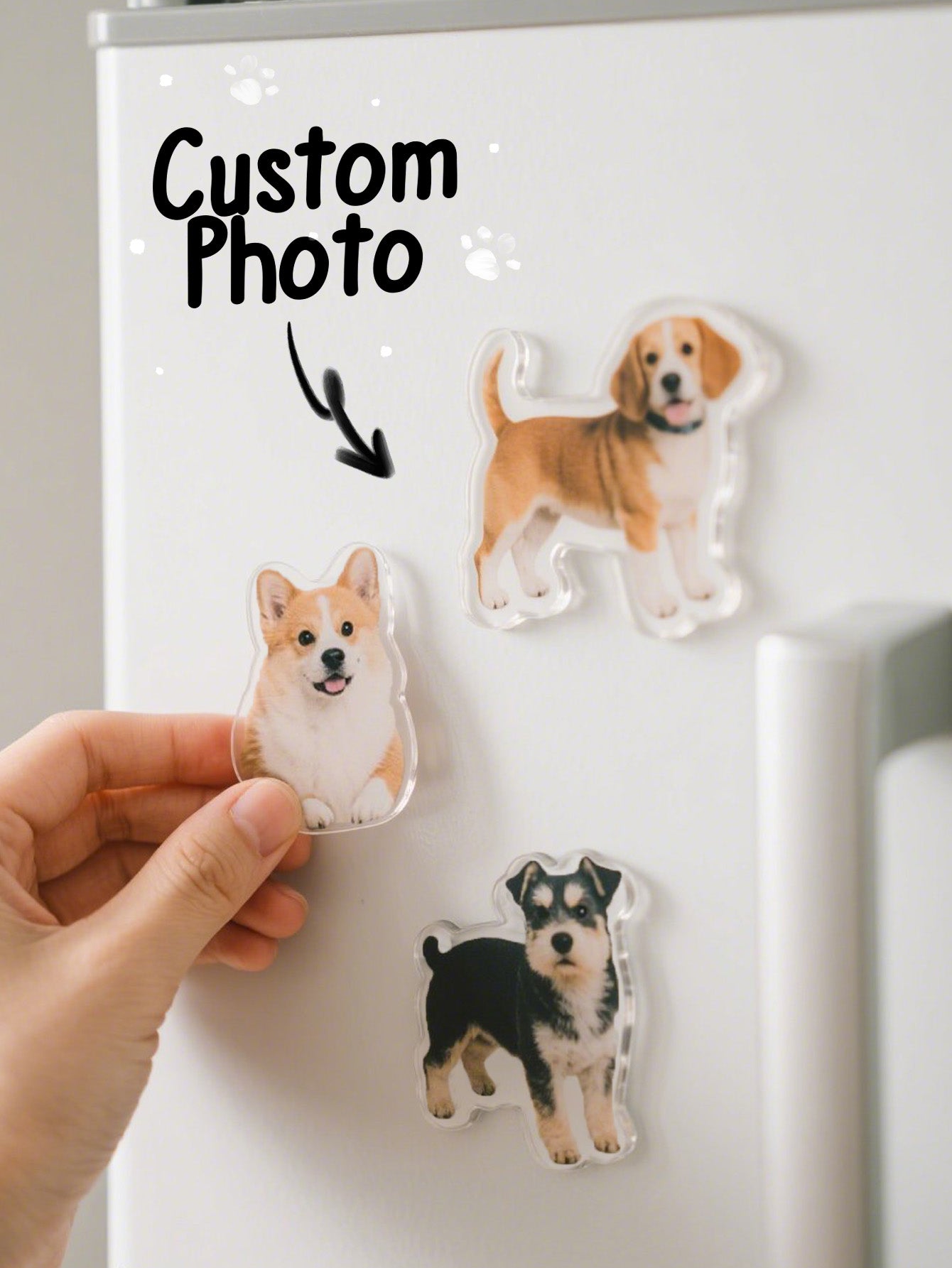 Personalized Dog Photo Fridge Magnet – Custom Irregular Acrylic Design
