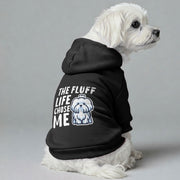 Maltese dog wearing a 'The Fluff Life Chose Me' hoodie