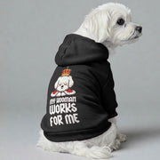 Maltese dog wearing a 'My Hooman Works for Me' hoodie