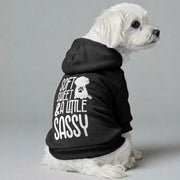 Maltese dog wearing a 'Soft, Sweet & a Little Sassy' hoodie