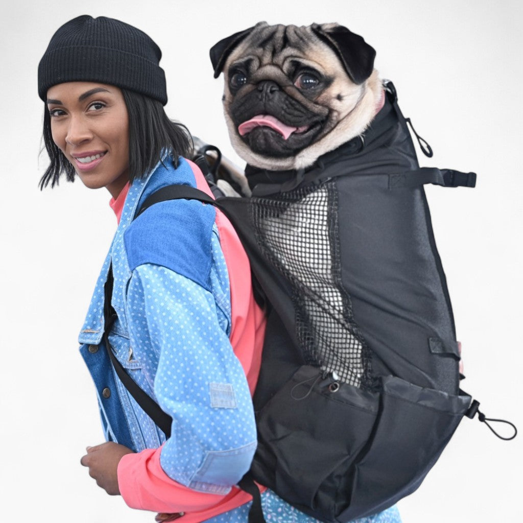 Backpack Carrier for Pug