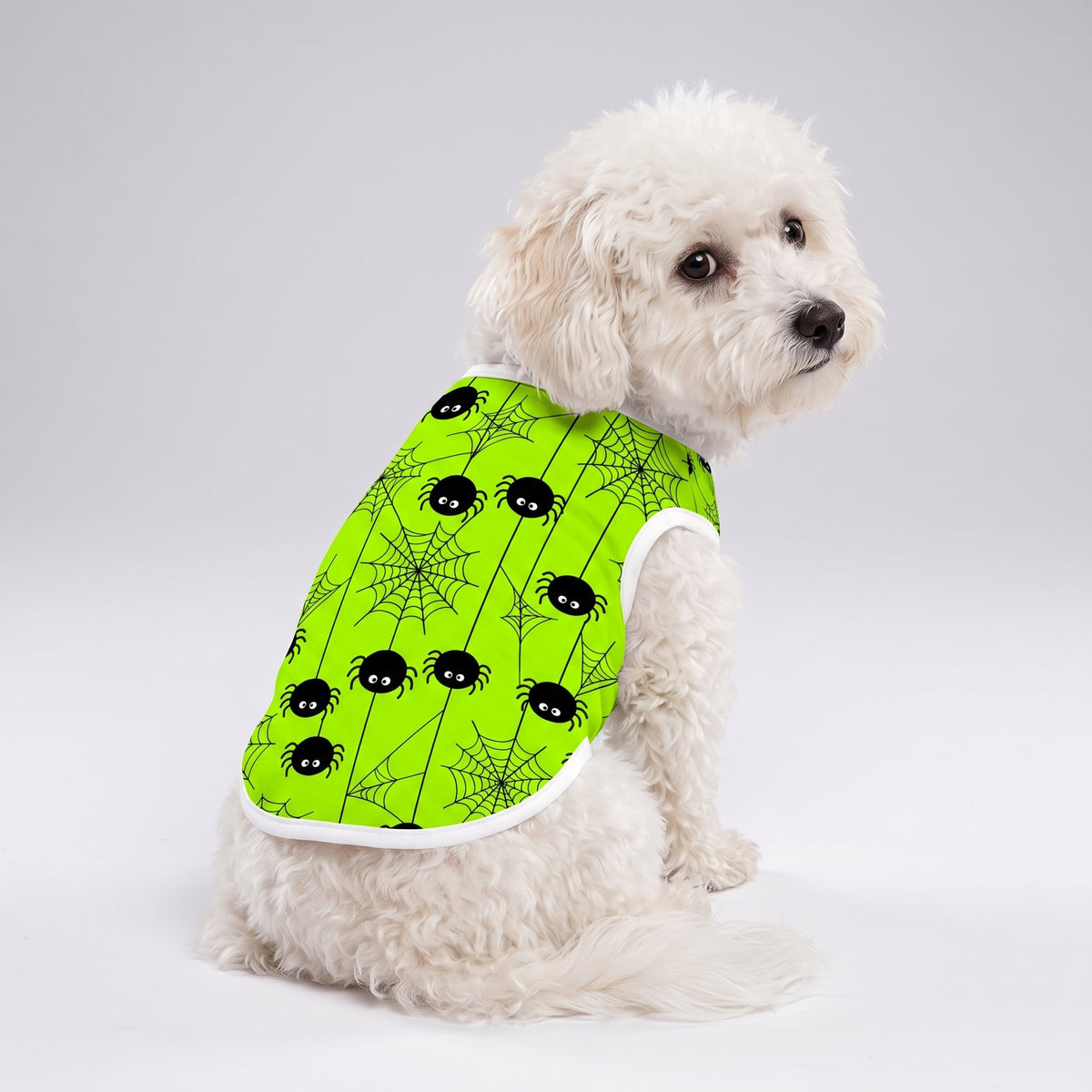 Spooky Spiders Small Dog Shirt