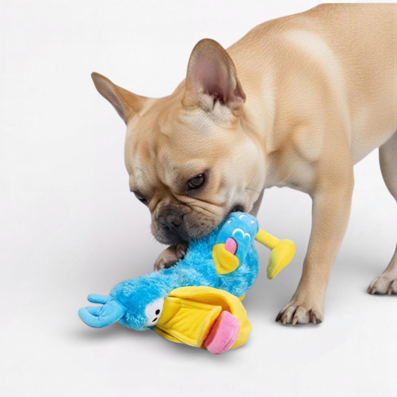 Big-DaDa-Bird-Squeaky-Dog-Toy.jpg