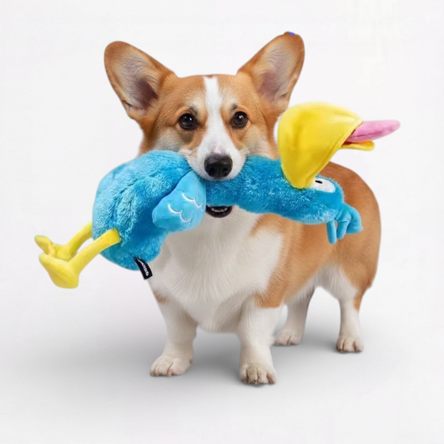 Big-DaDa-Bird-Squeaky-Dog-Toy.jpg
