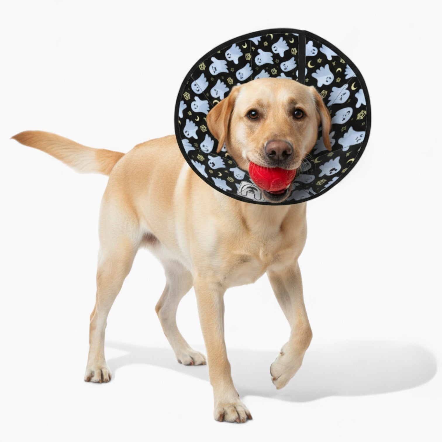 'Biscuit' Soft Dog Cone