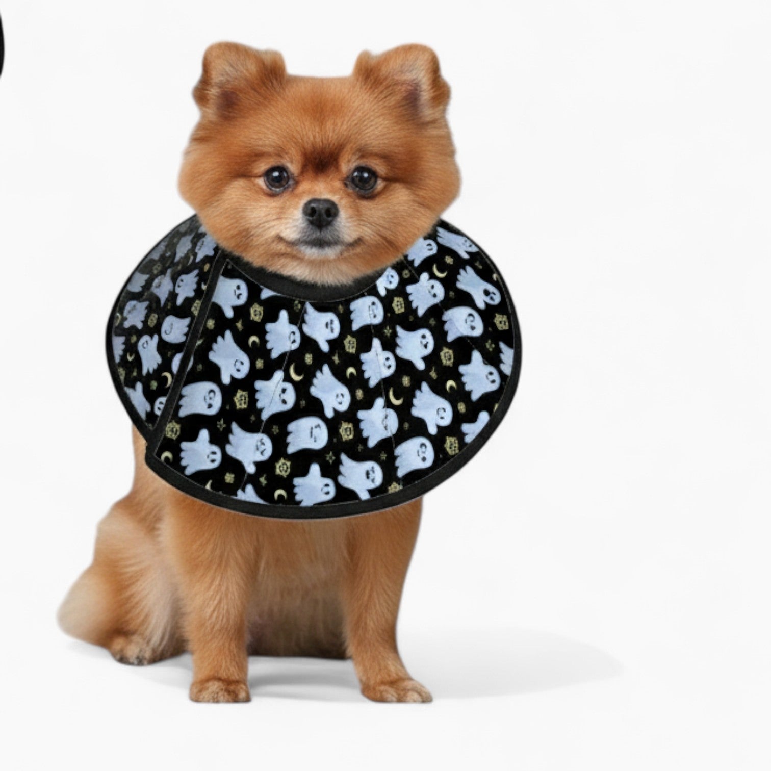 Biscuit soft cone collar for dogs