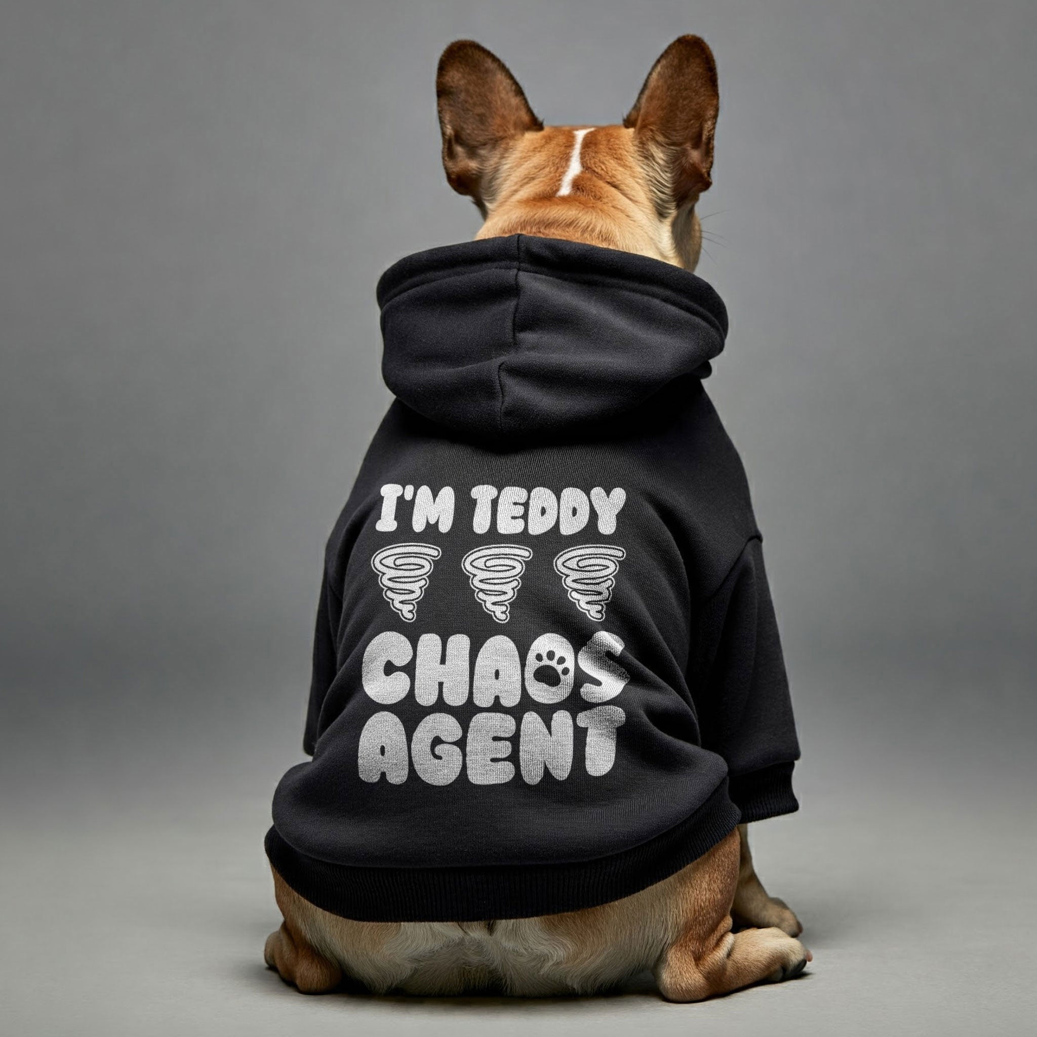 Im TEDDY - chaos agent  - personalized hoodie with your dog name – dog hoodie – dog clothes