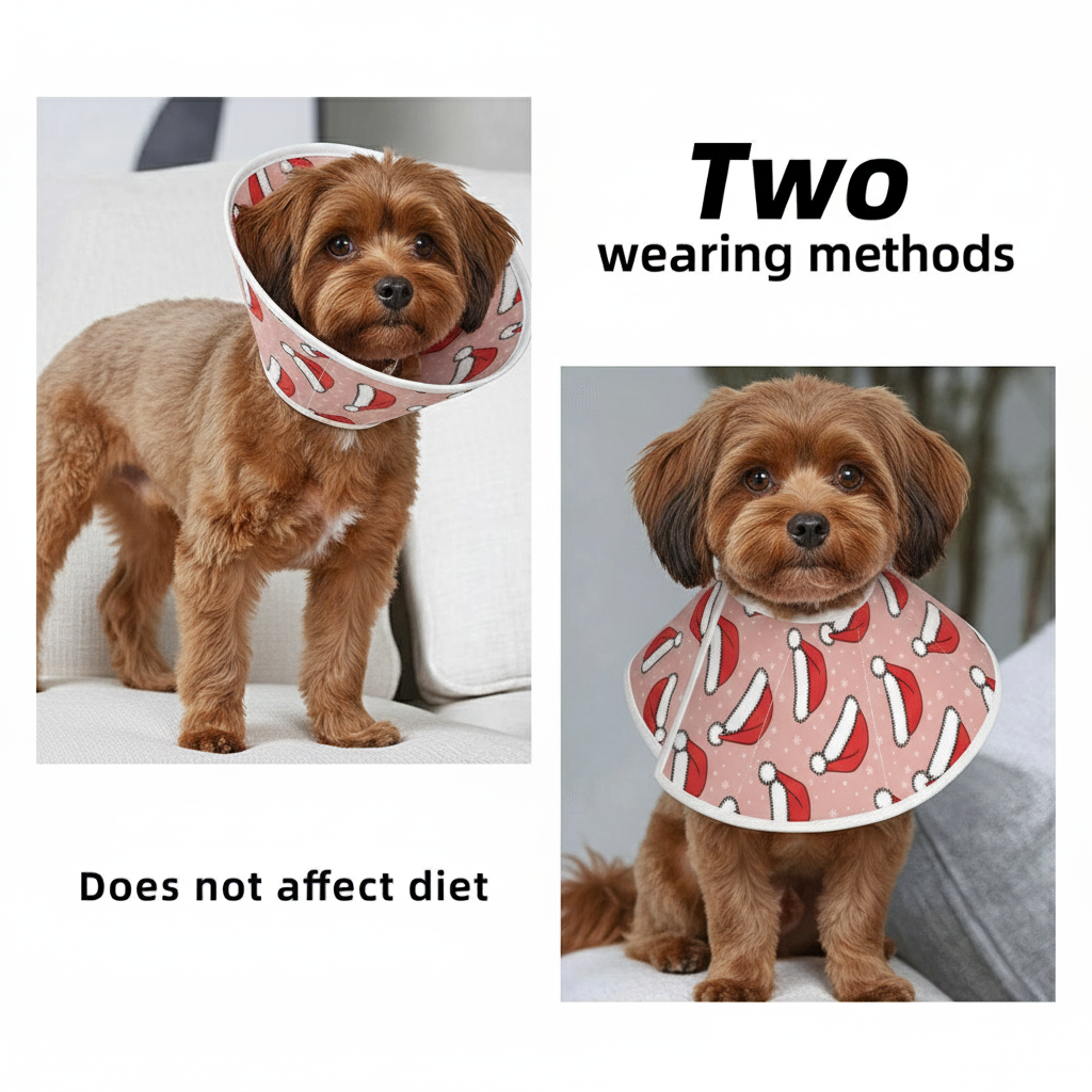Buddy Soft_Dog_Cone_Elizabethan_Collar