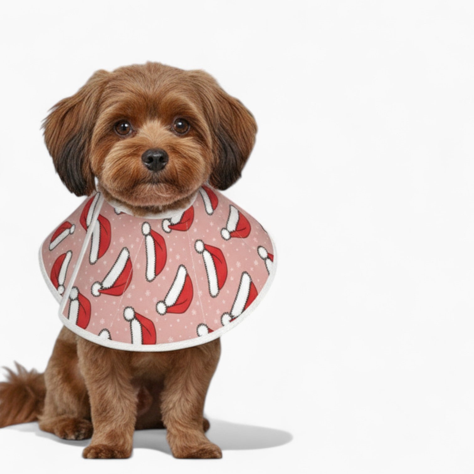 'Buddy' soft cone collar for dogs