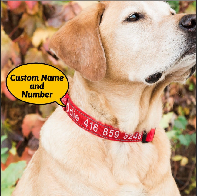 Personalized Dog Collar – Custom Engraved Nylon Pet Collar