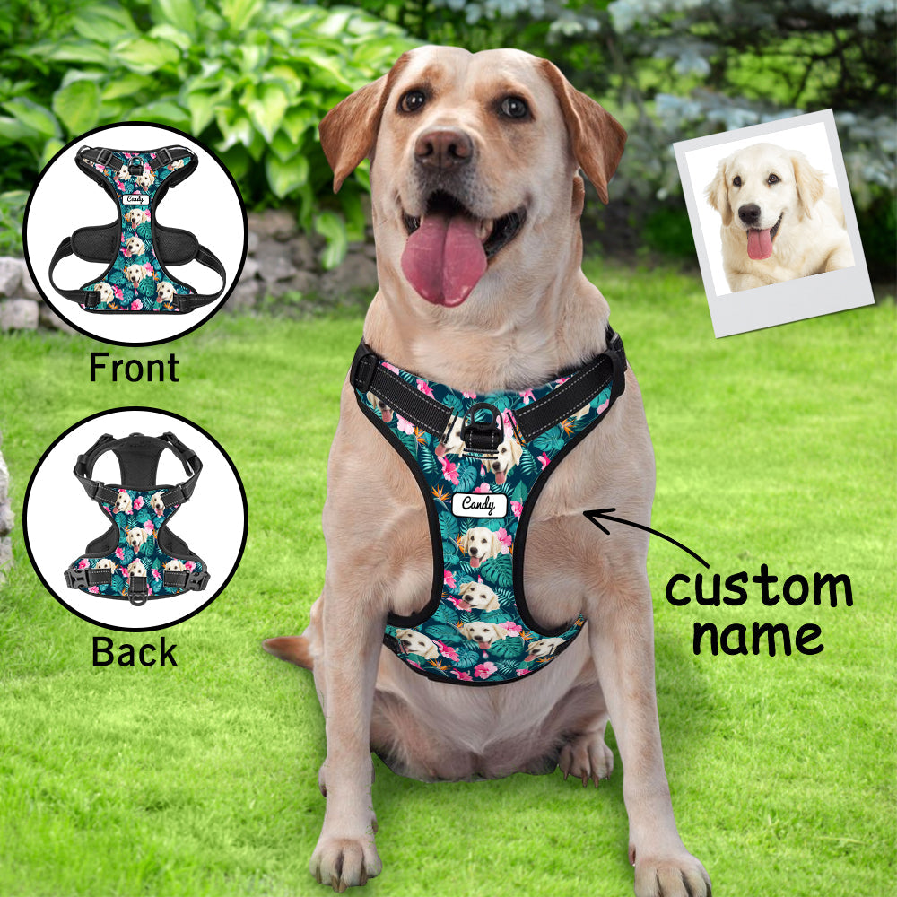 Custom Dog Harness – Personalized Safe & Comfortable Walking Vest