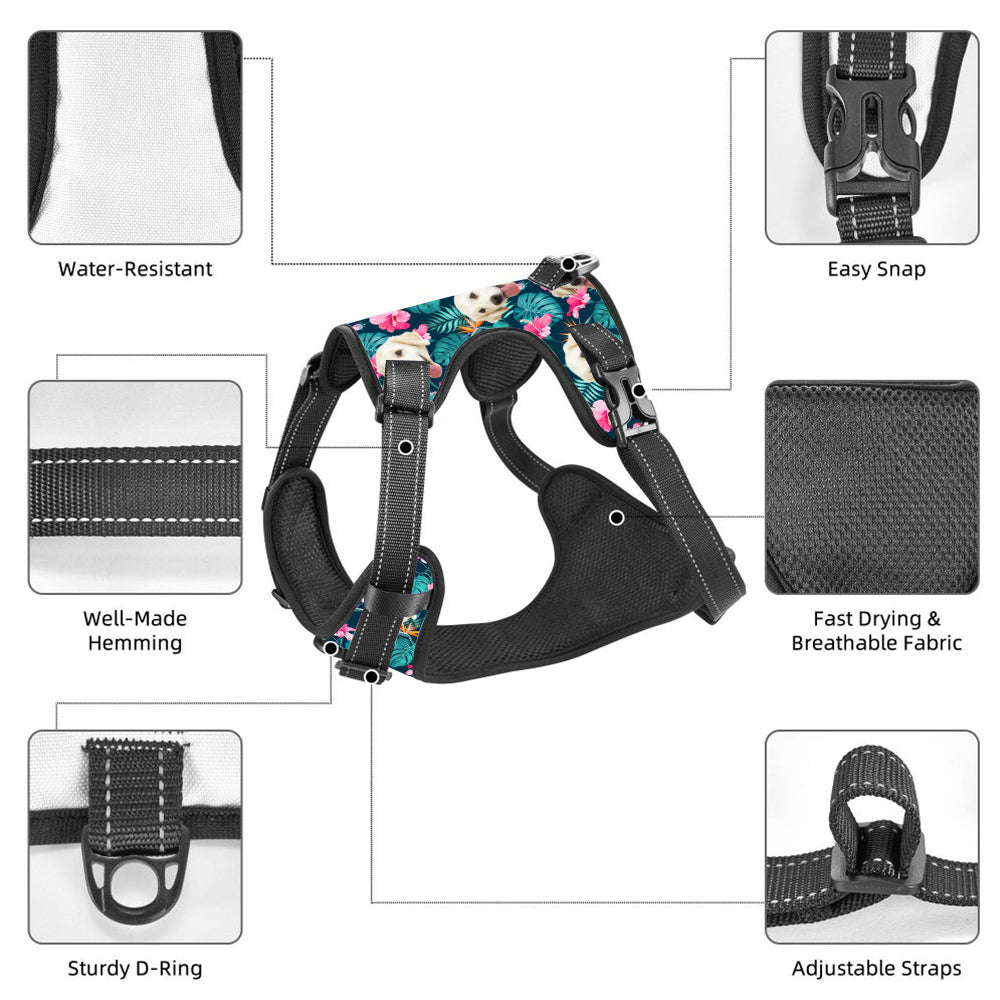 Custom Dog Harness – Personalized Safe & Comfortable Walking Vest