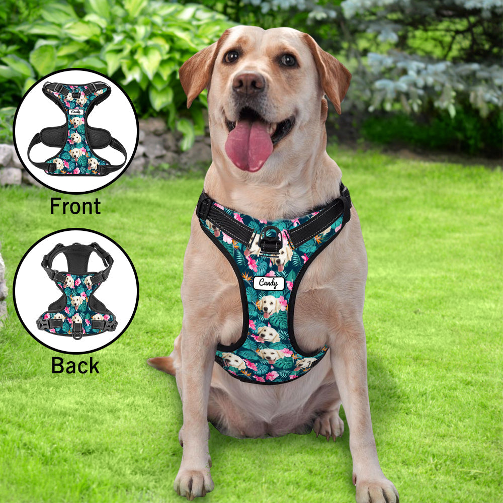 Custom Dog Harness – Personalized Safe & Comfortable Walking Vest