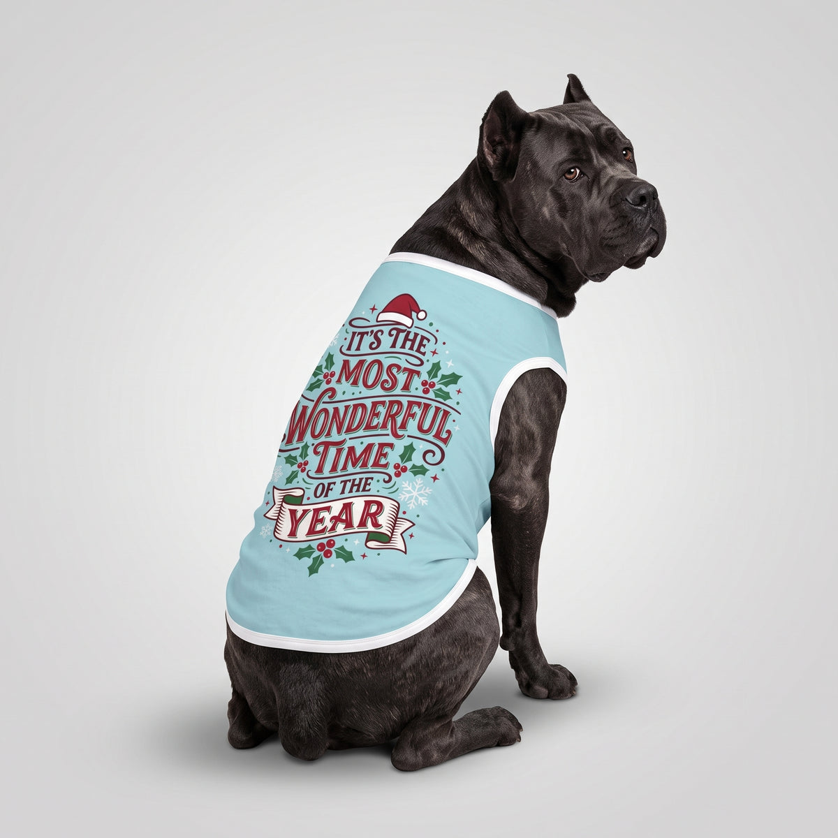Most Wonderful Time of the Year Big Dog Shirt