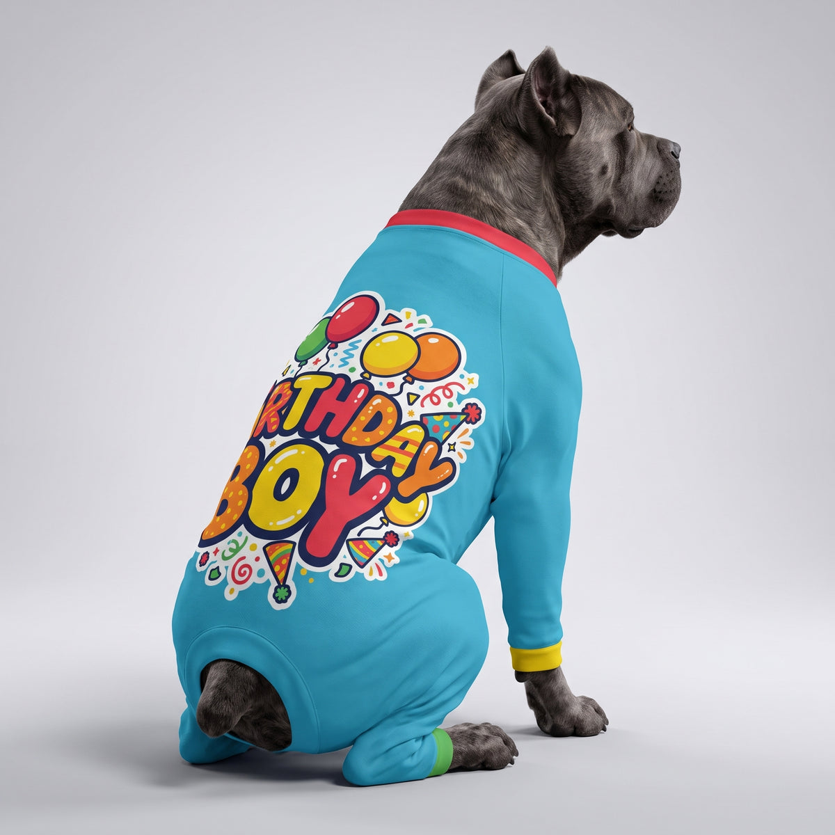 Birthday Party Boy Dog Pajamas for Small and Big Dogs