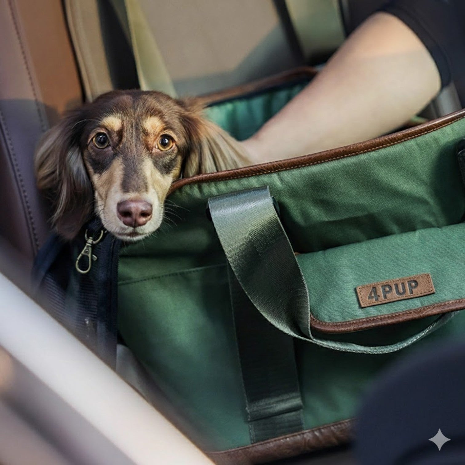 Canvas-Outing-Dog-Backpack-Carrier.jpg