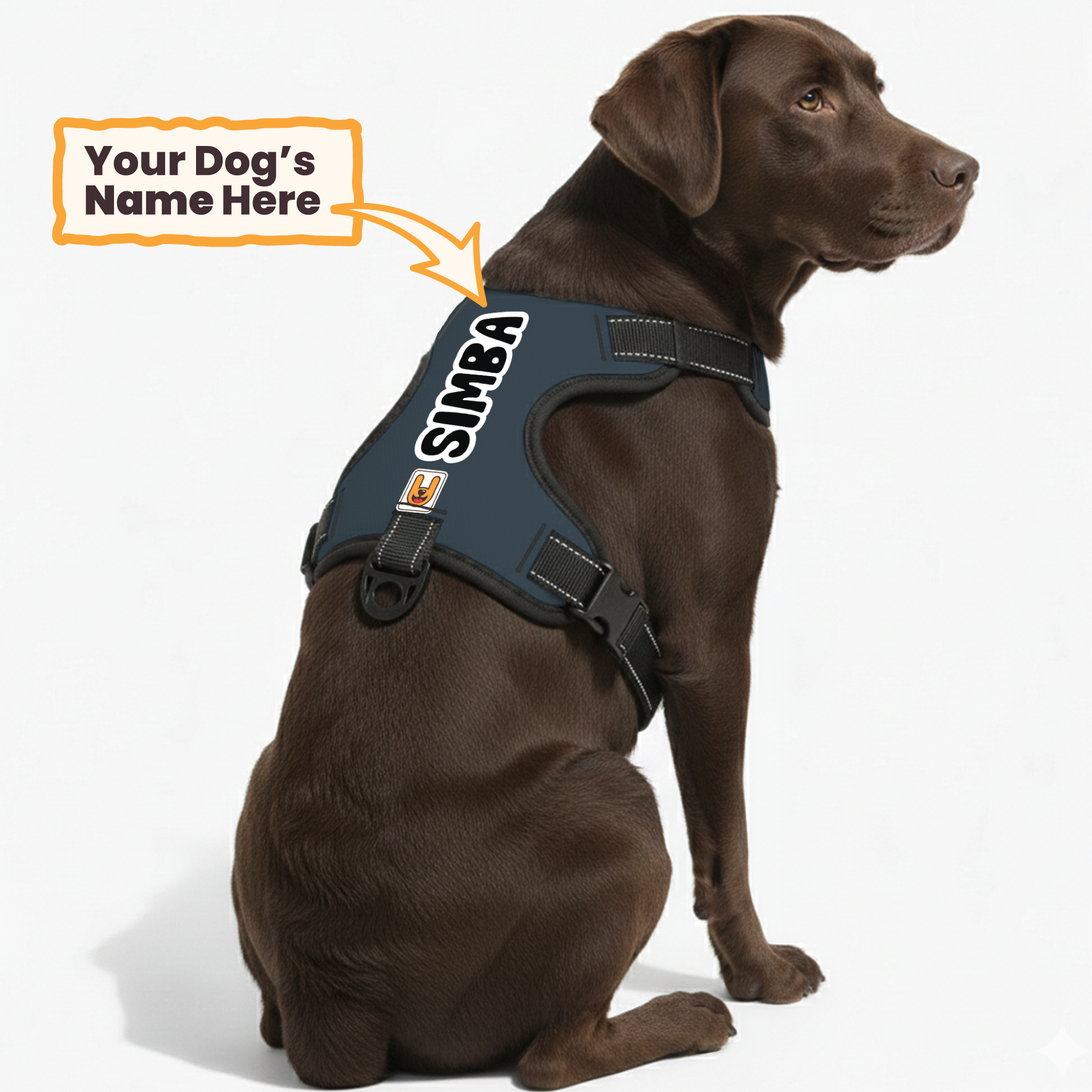 Catcher' custom dog harness​