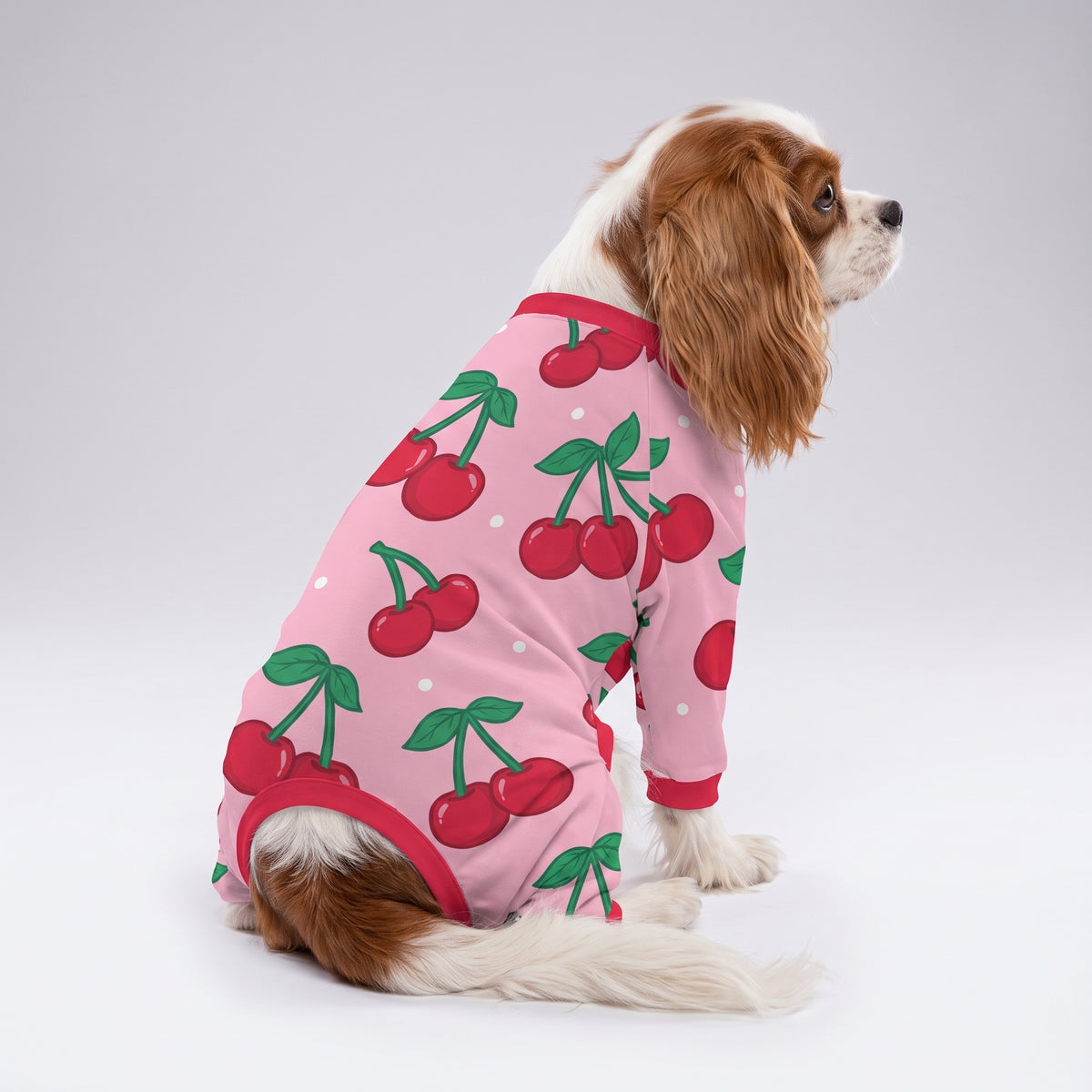 Sweet Cherry Girl Dog Pajamas for Small and Big Dogs