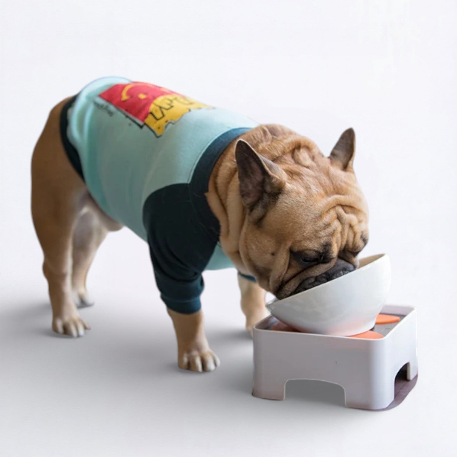 Ceramic-Dog-Food-Bowl.jpg